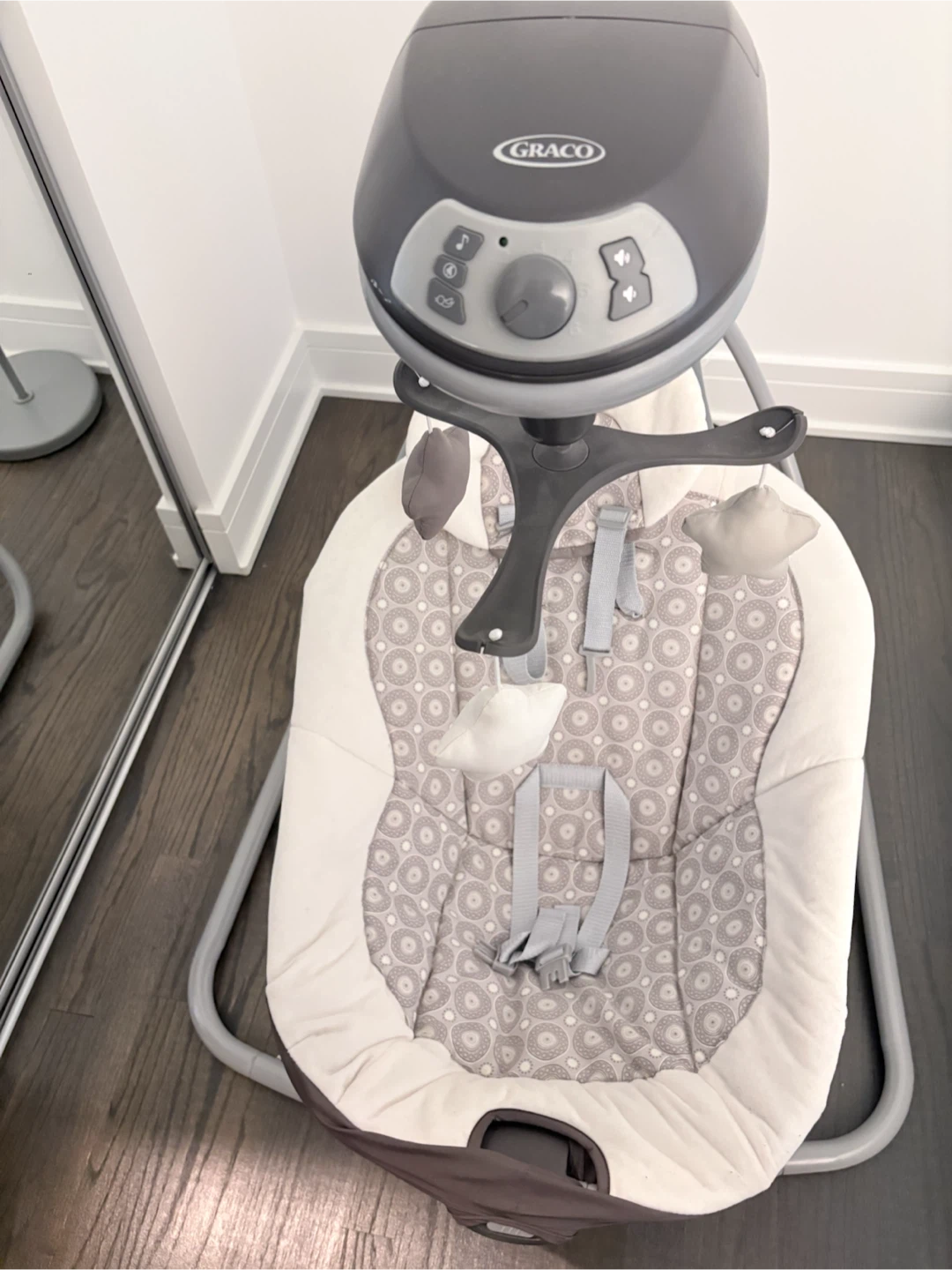 Graco Baby Swing