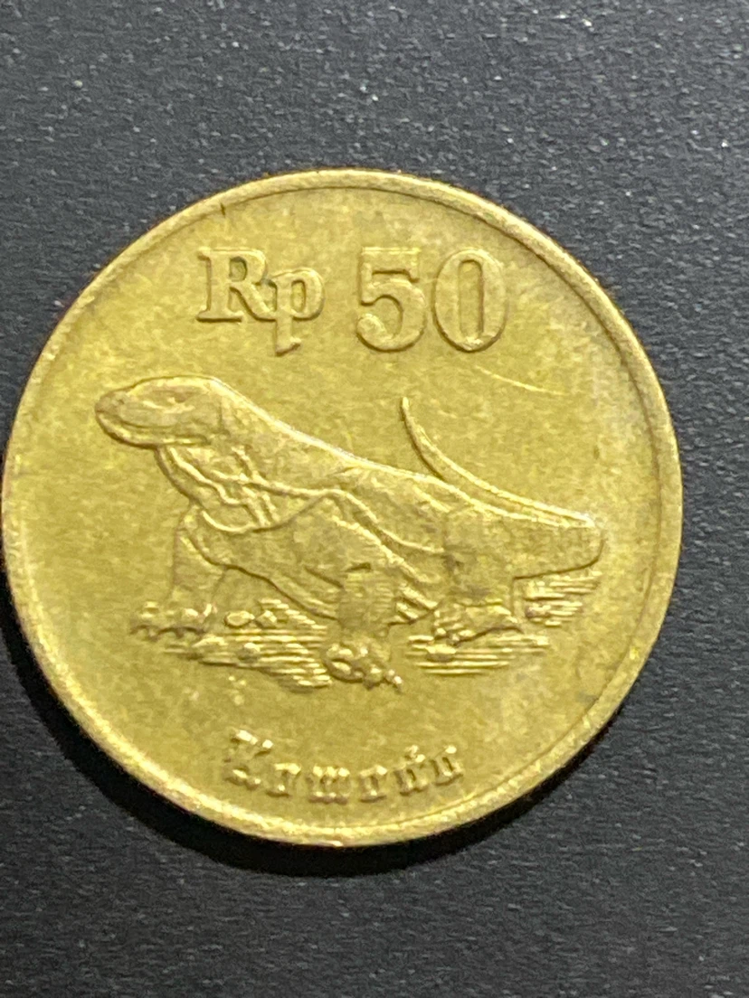 Bank Indonesia 50 Rupiah Coin 1993