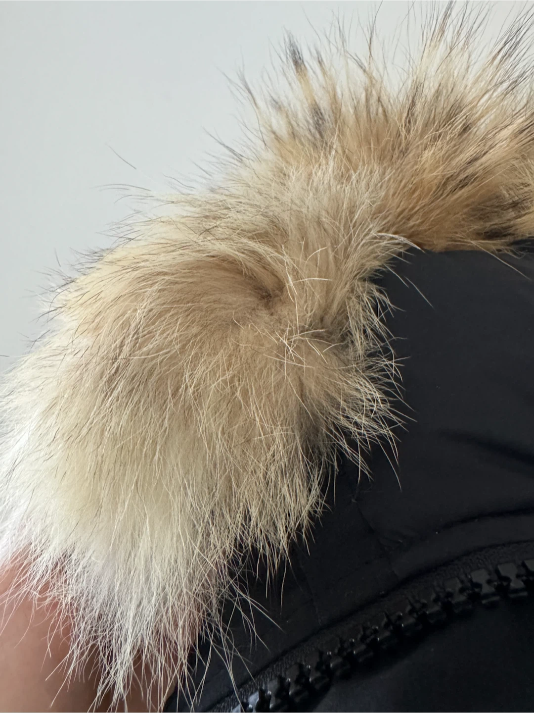 Canada Goose montebello W parka xs - photo 3