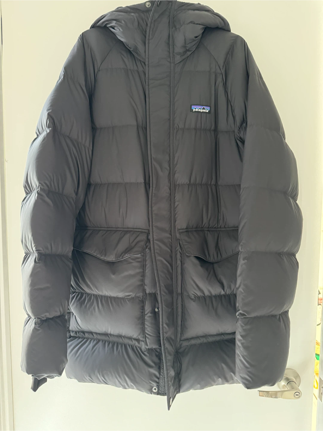 Patagonia Down Parka