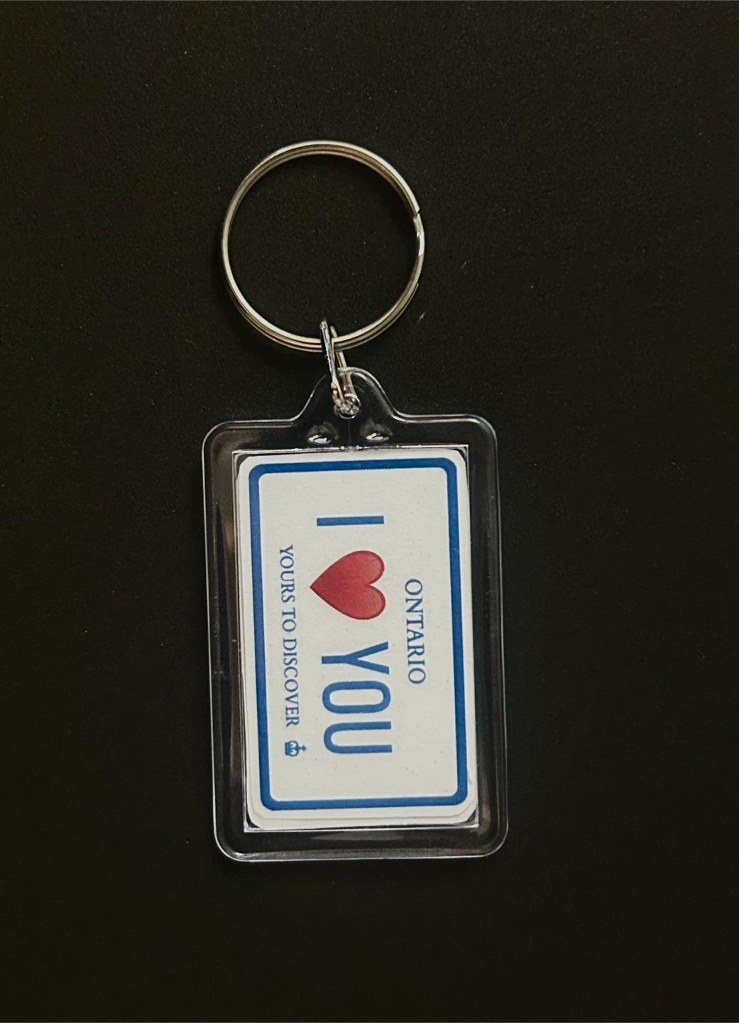 Custom TRENDY License Plate Keychains - photo 3