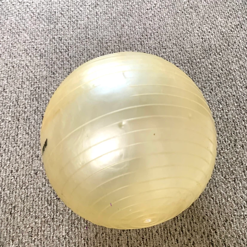 Exercise Stability Ball Yoga Fitness Core Workout Home Gym Ball - photo 5