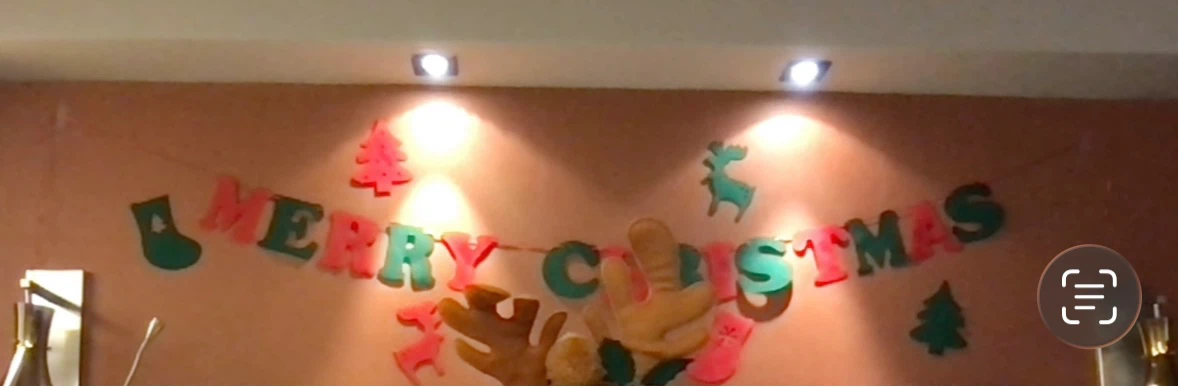 Christmas Party Headbands and Glasses + Christmas banner - photo 3