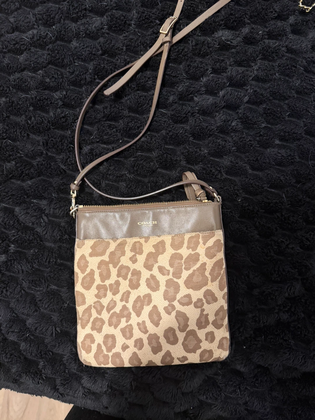 COACH Leopard Print Crossbody Bag
