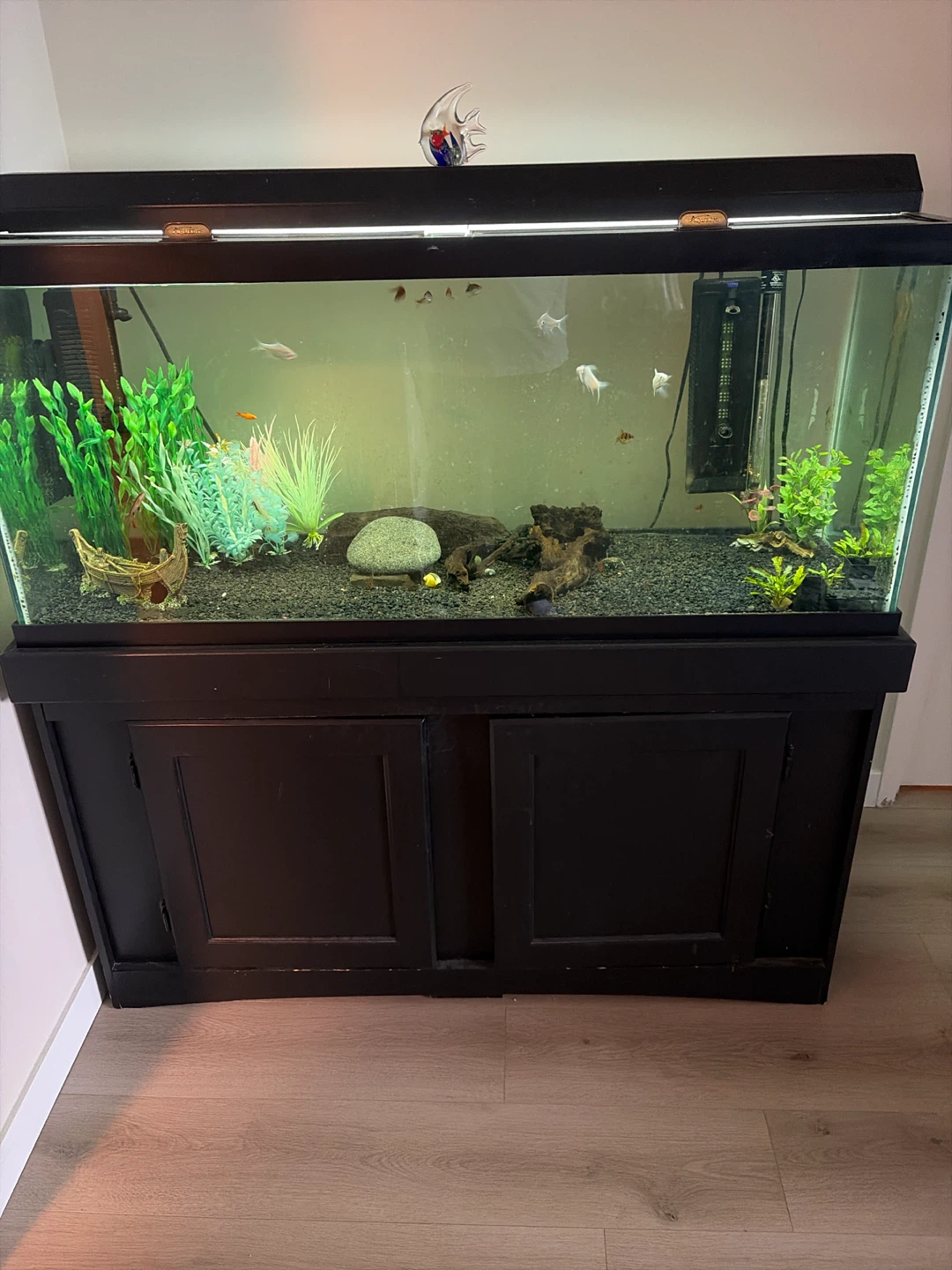 Aquarium with Stand and Accessories