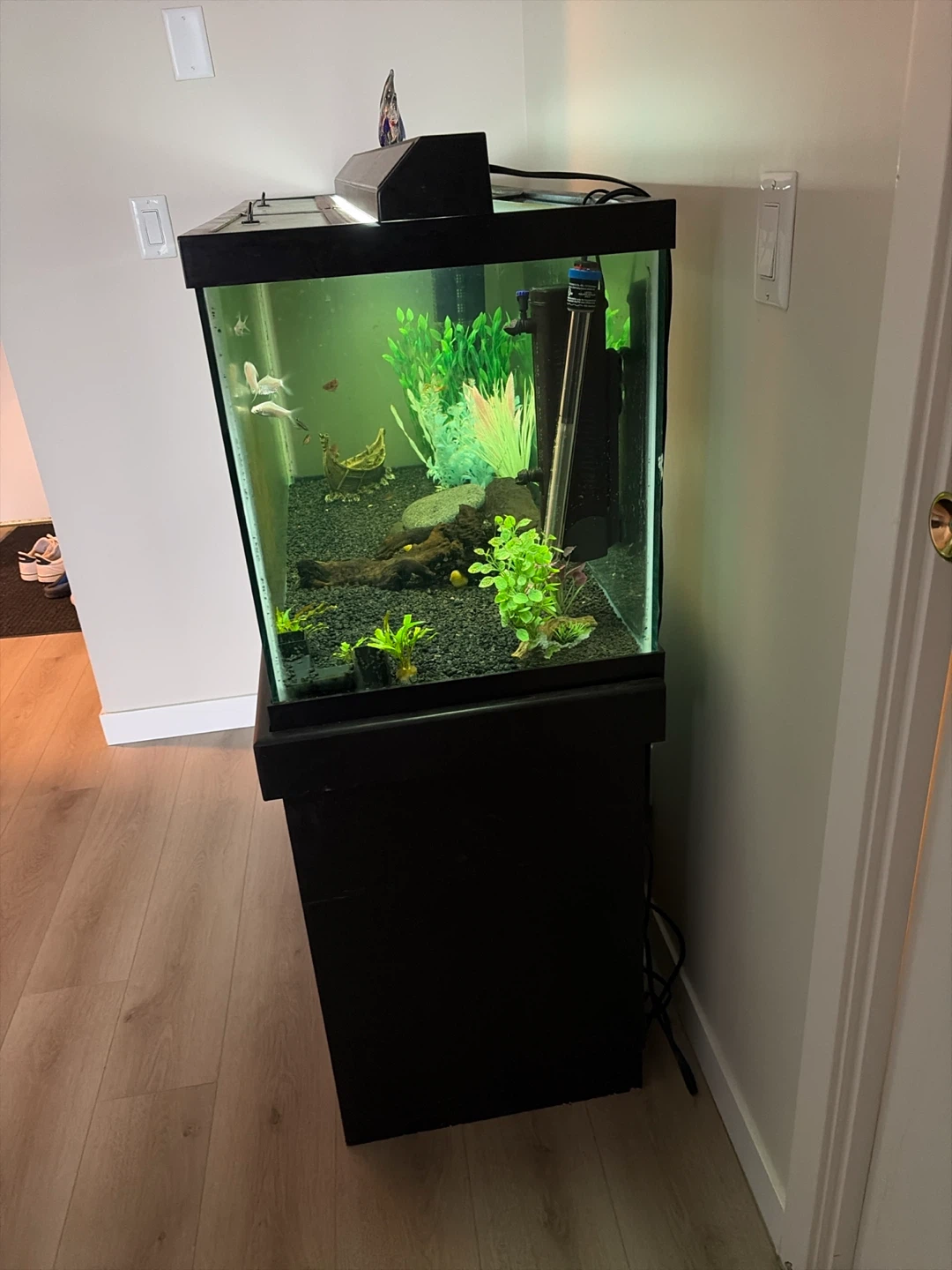 Aquarium with Stand and Accessories - photo 2