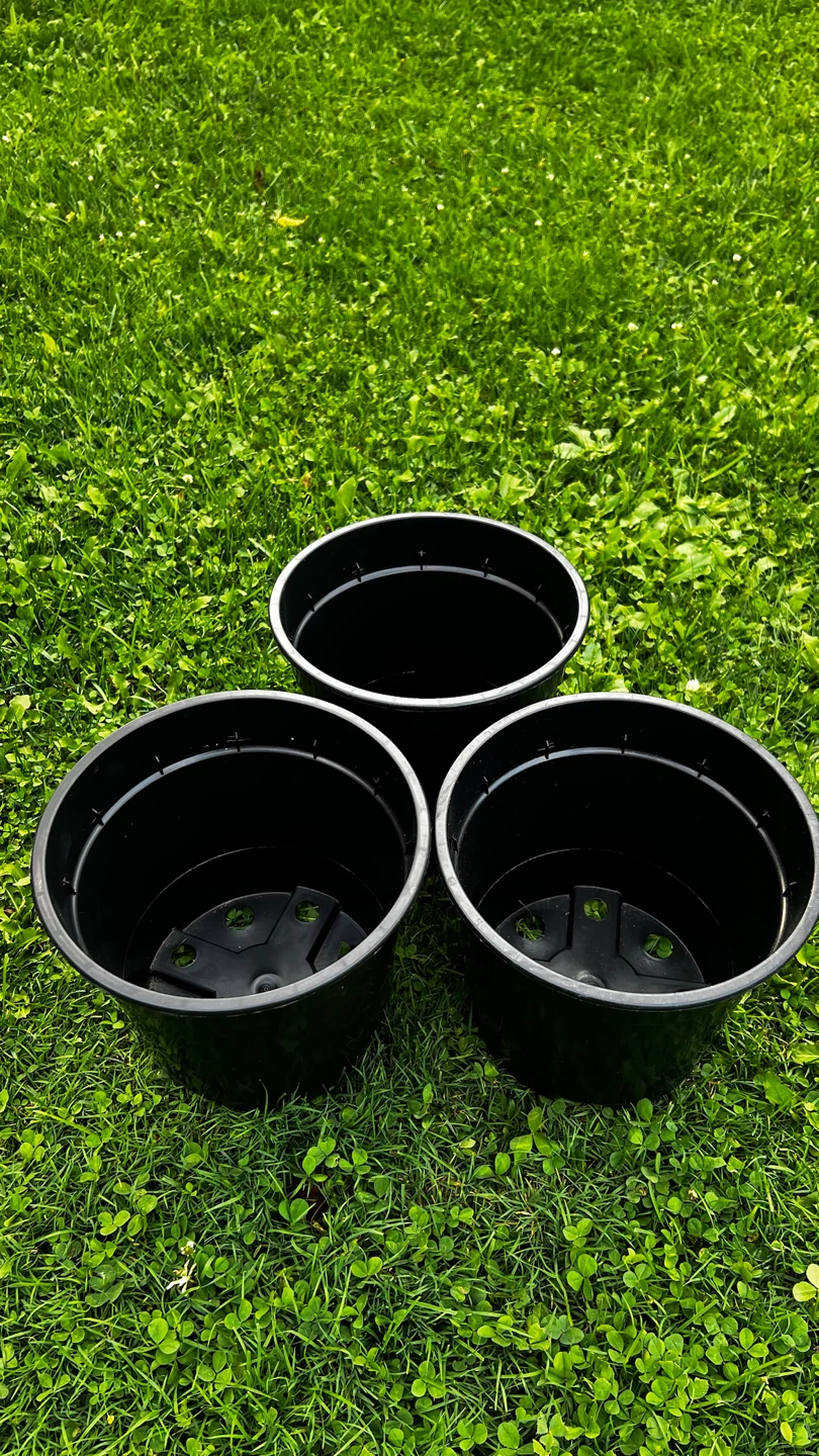 3 Black Plastic Plant Pots