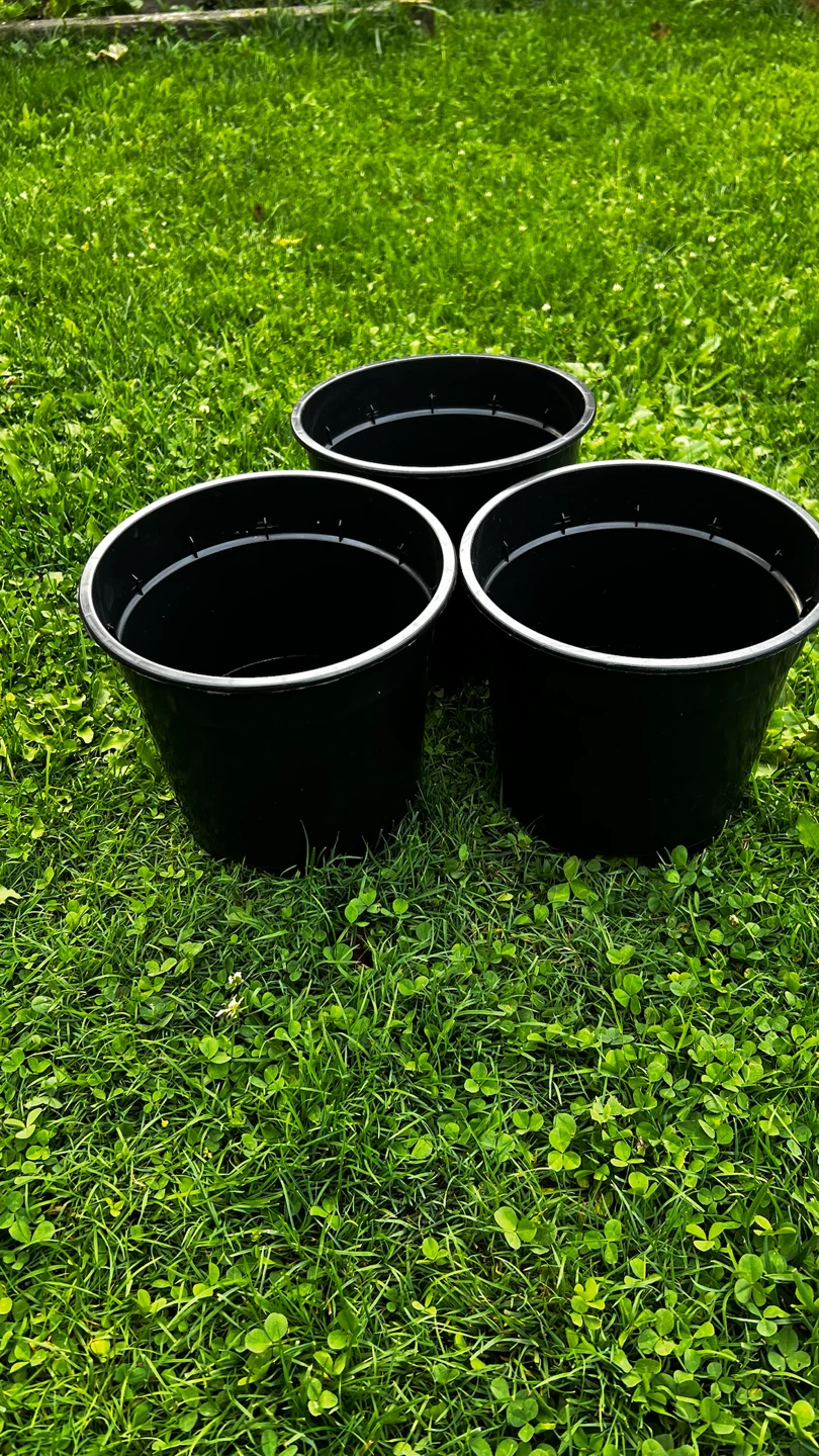 3 Black Plastic Plant Pots - photo 2