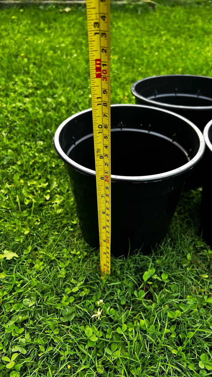 3 Black Plastic Plant Pots - photo 3