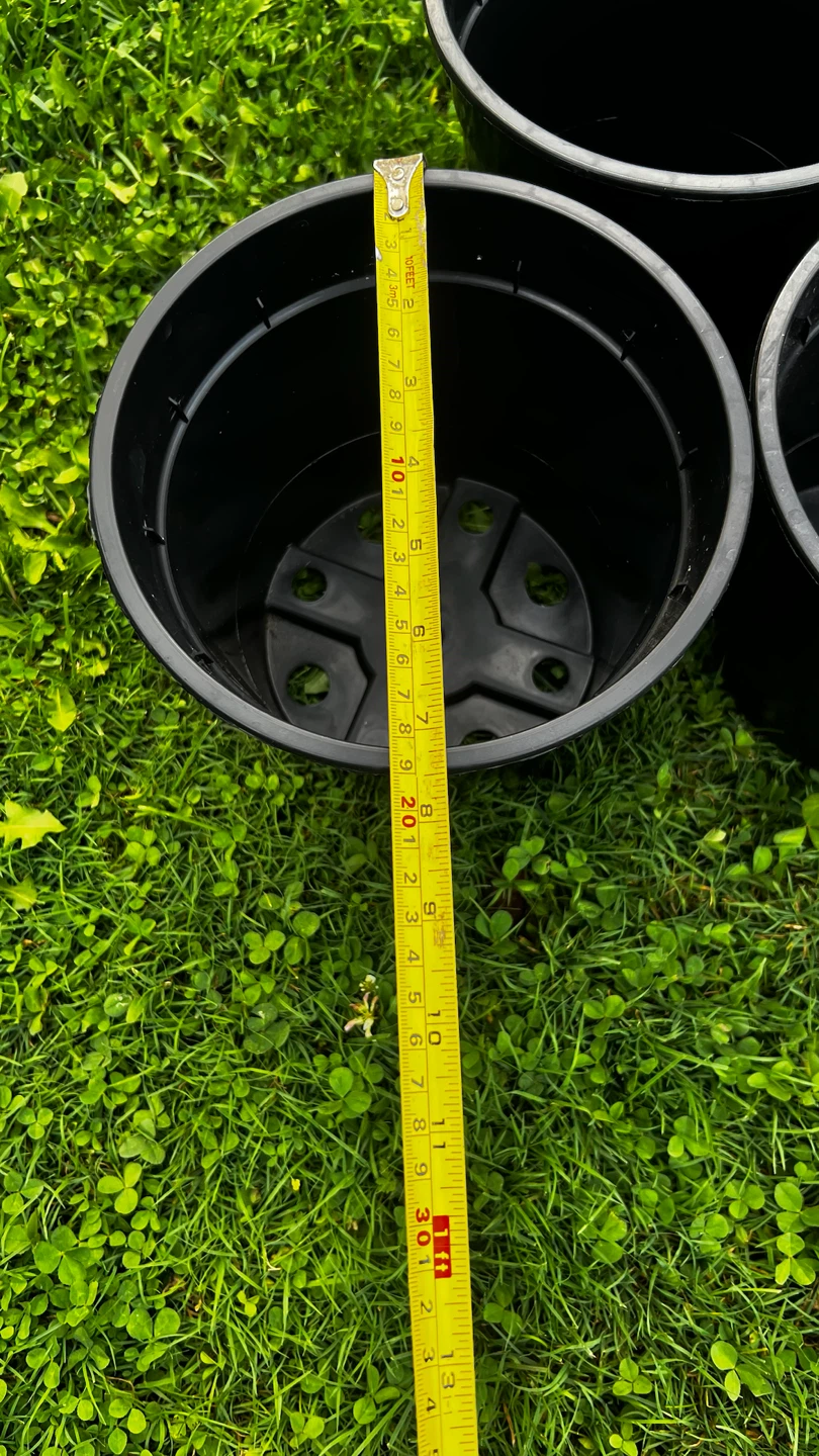 3 Black Plastic Plant Pots - photo 4
