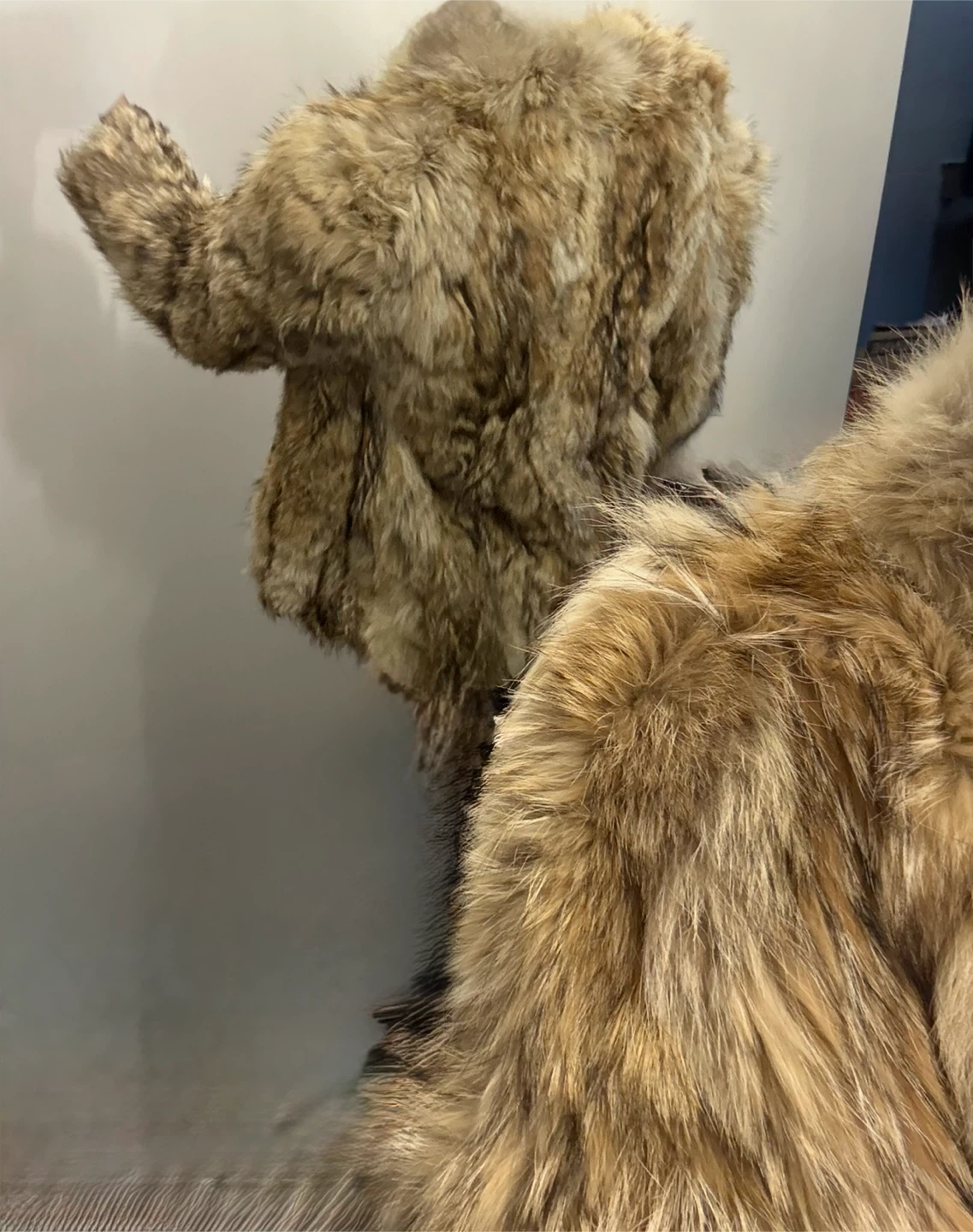 Vintage Coyote Fur Coat - photo 2