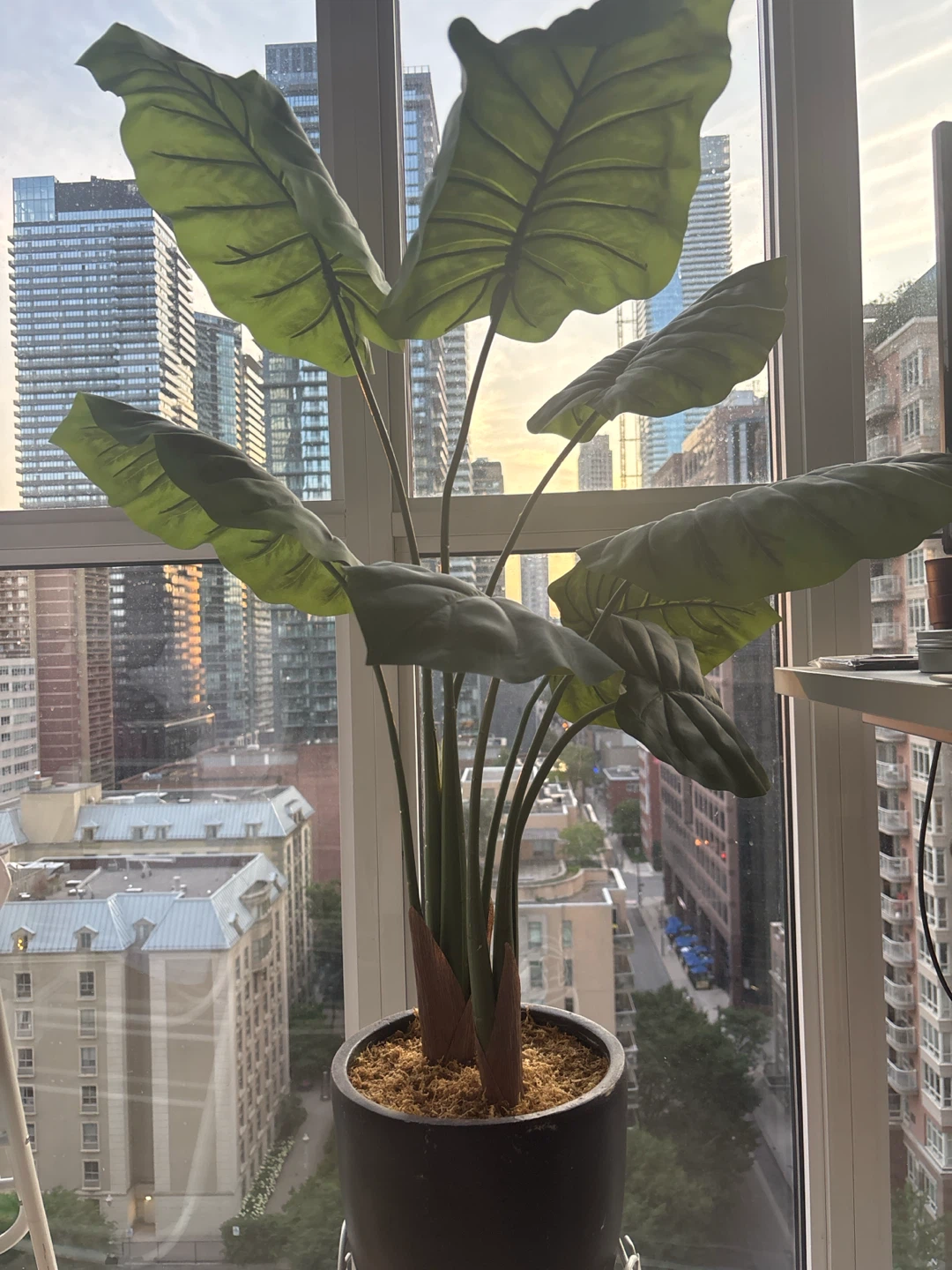 Artificial Plant with Decorative Stand