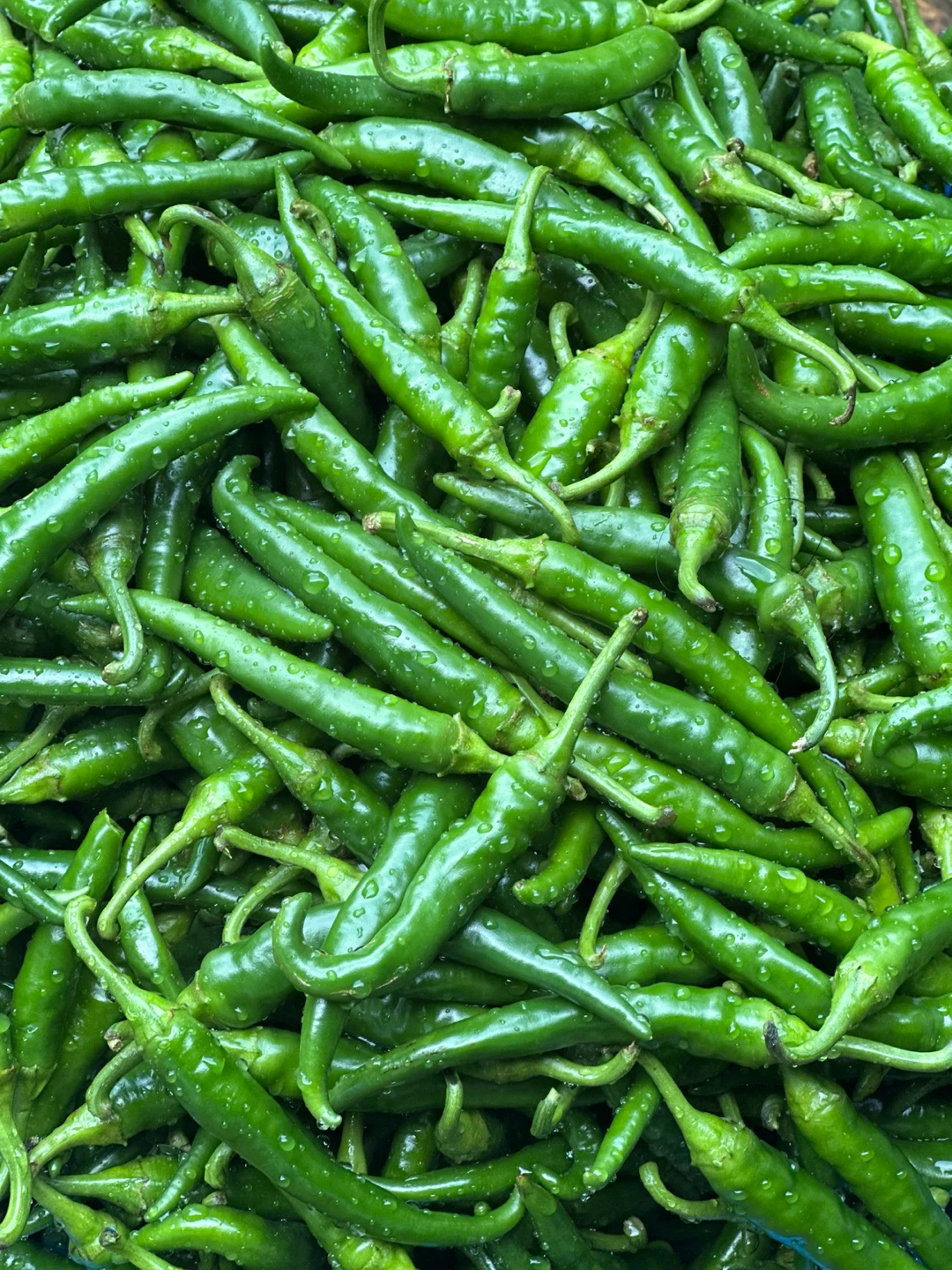 Fresh Green Chili Peppers