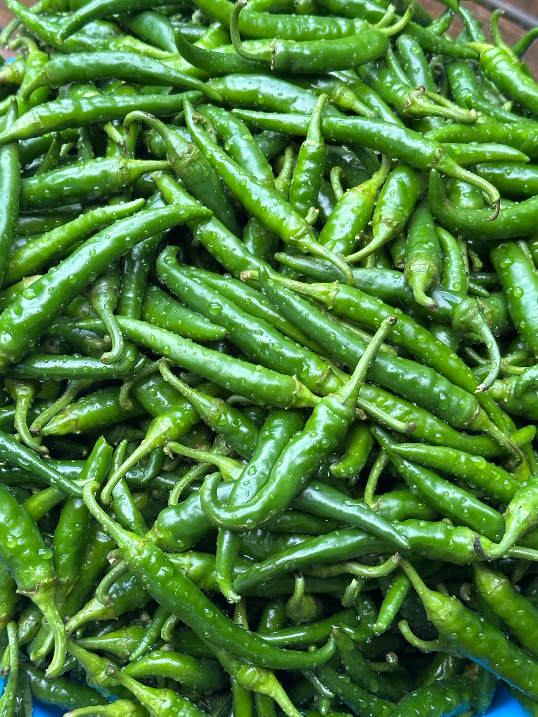 Fresh Green Chili Peppers - photo 2
