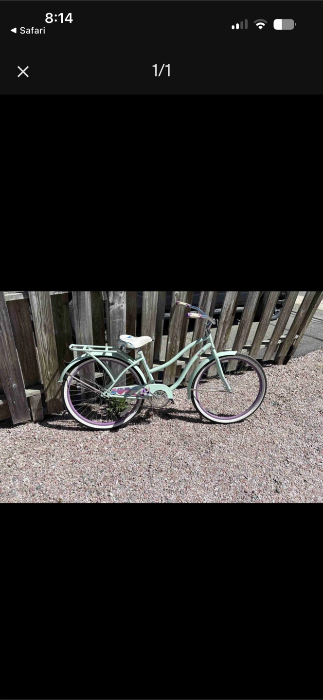 Light Green Cruiser Bicycle