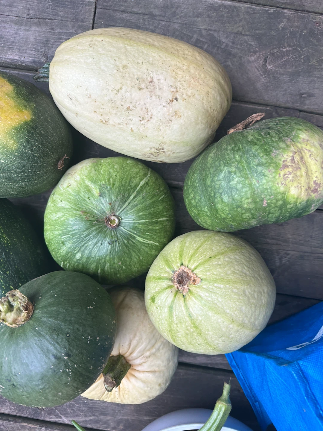 Mixed Winter Squash Assortment - photo 2