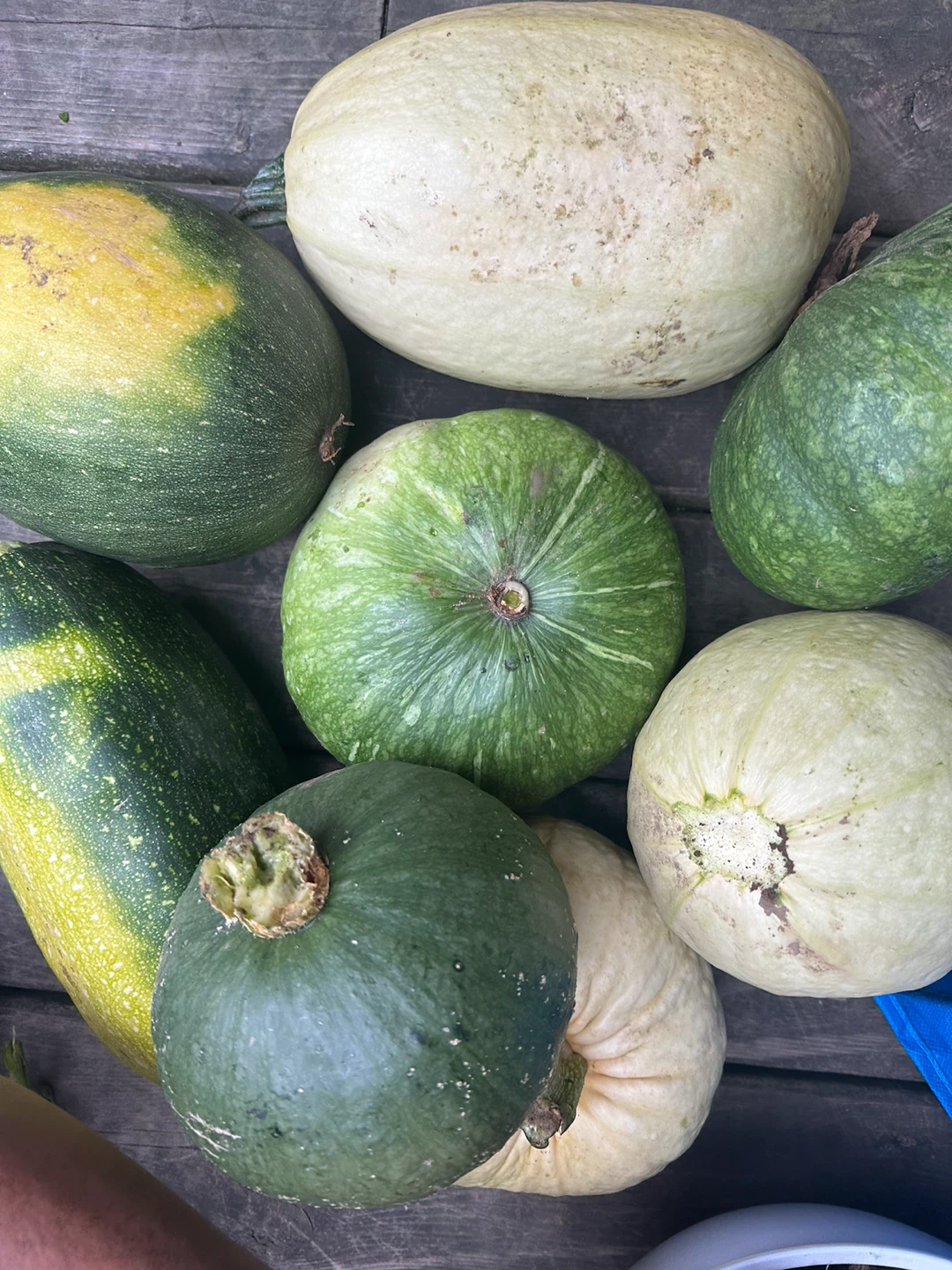 Mixed Winter Squash Assortment - photo 3
