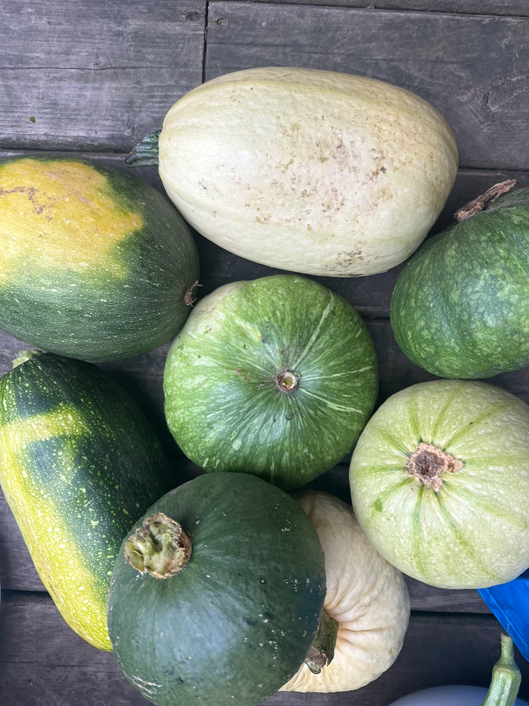 Mixed Winter Squash Assortment - photo 4