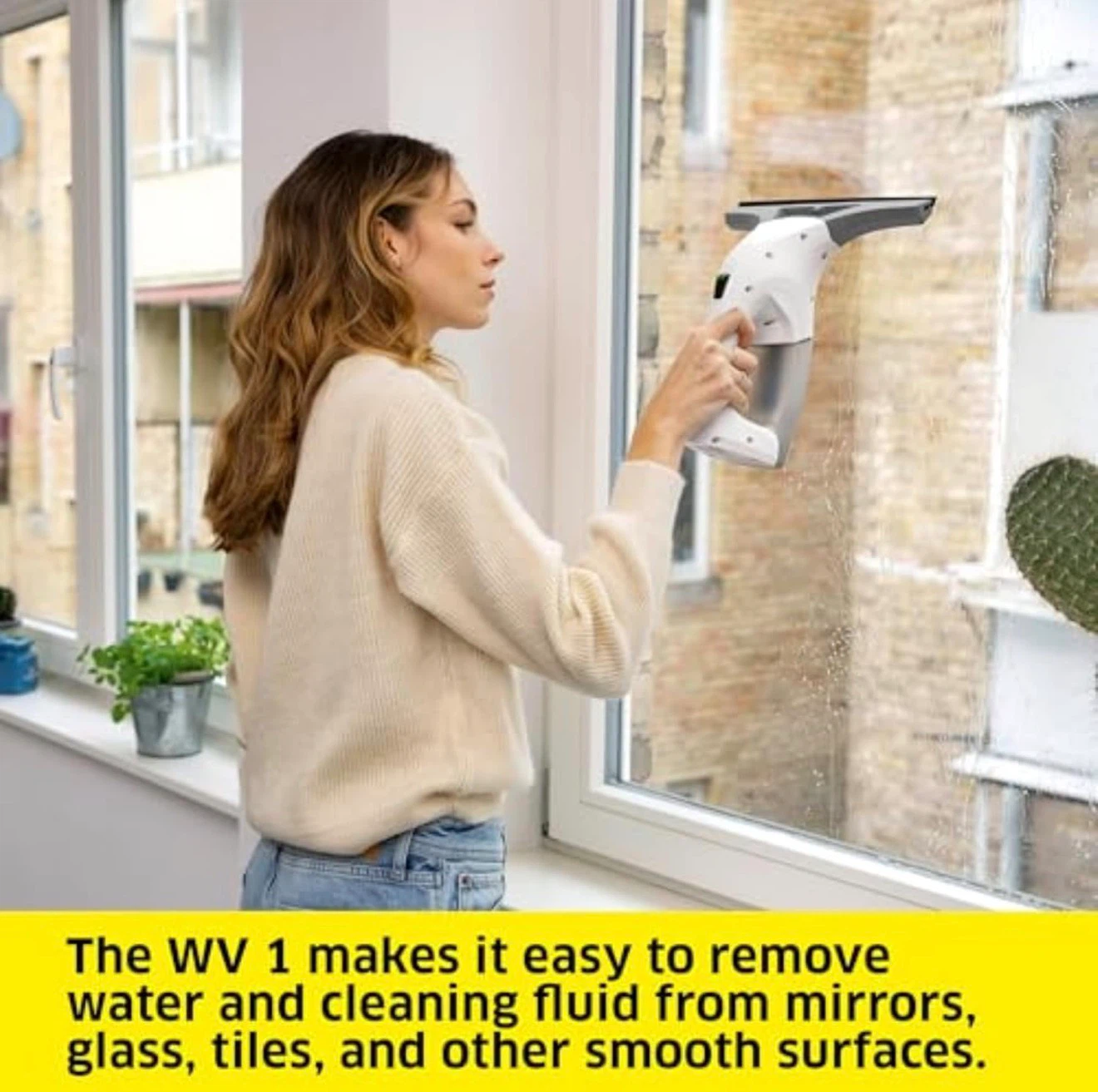 Kärcher WV 1 Window Vac