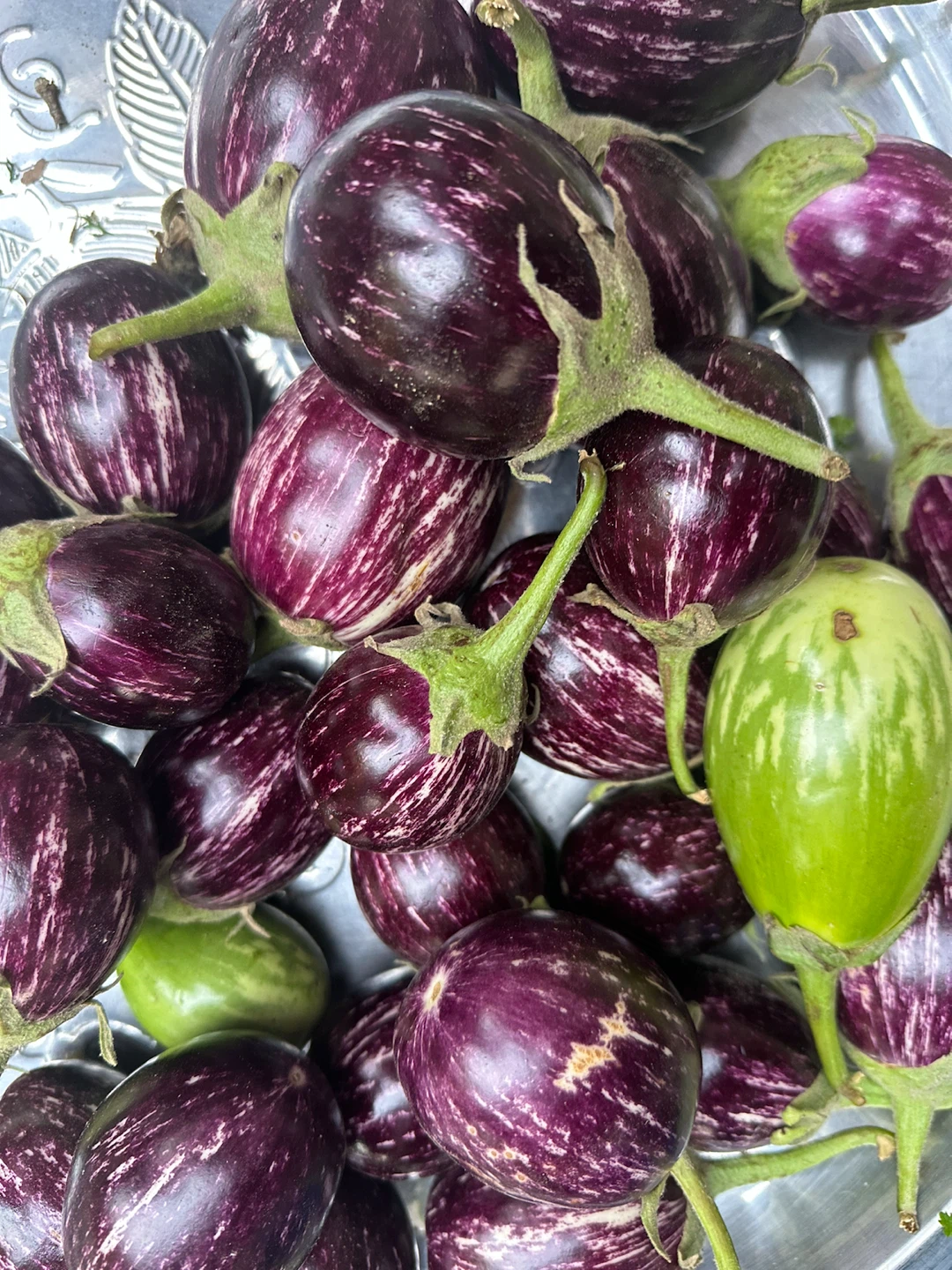 Mixed Graffiti Eggplants