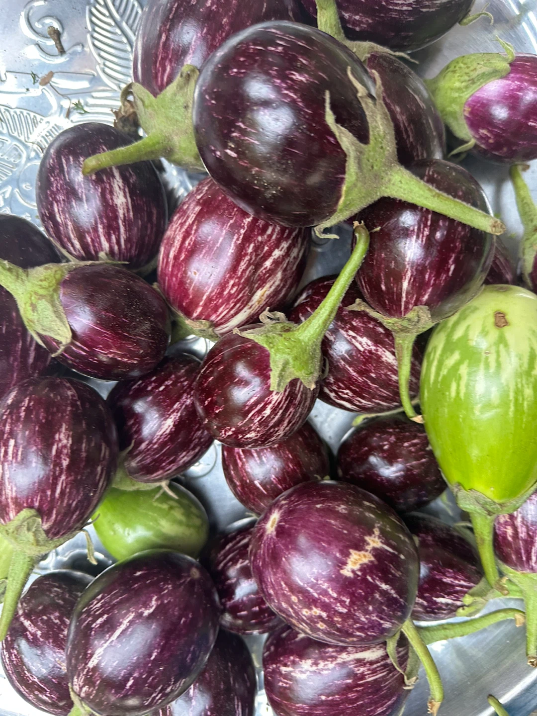 Mixed Graffiti Eggplants - photo 2