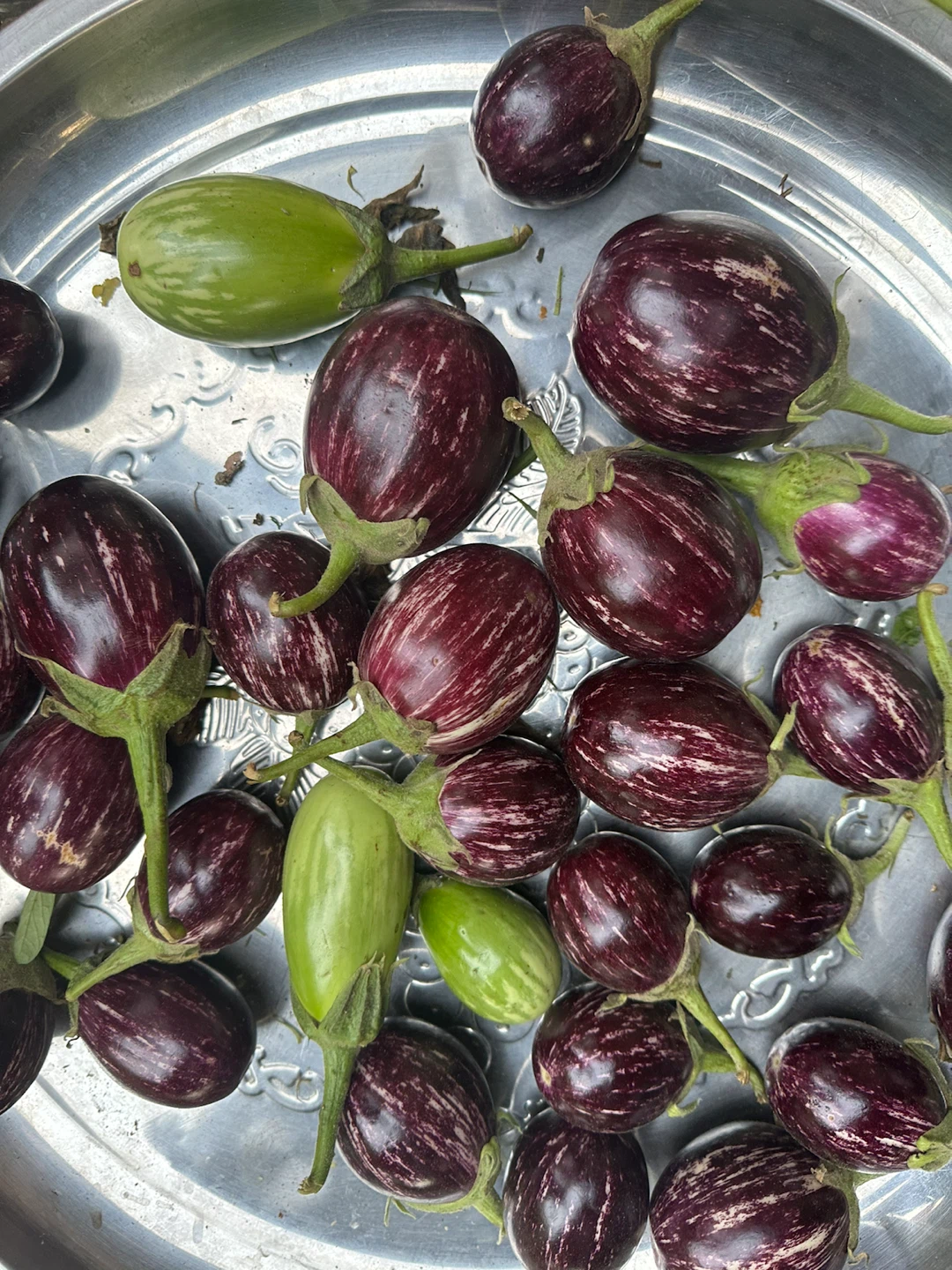 Mixed Graffiti Eggplants - photo 3