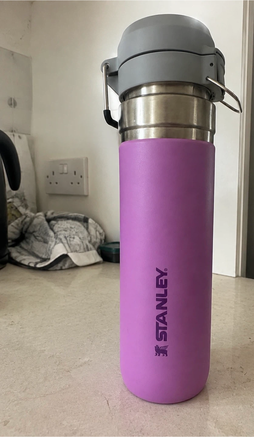 Stanley Purple Insulated Water Bottle