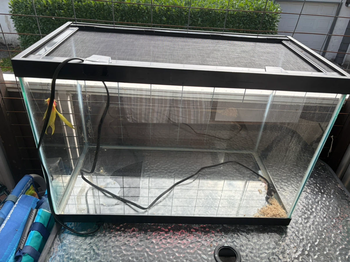 Glass Terrarium Tank