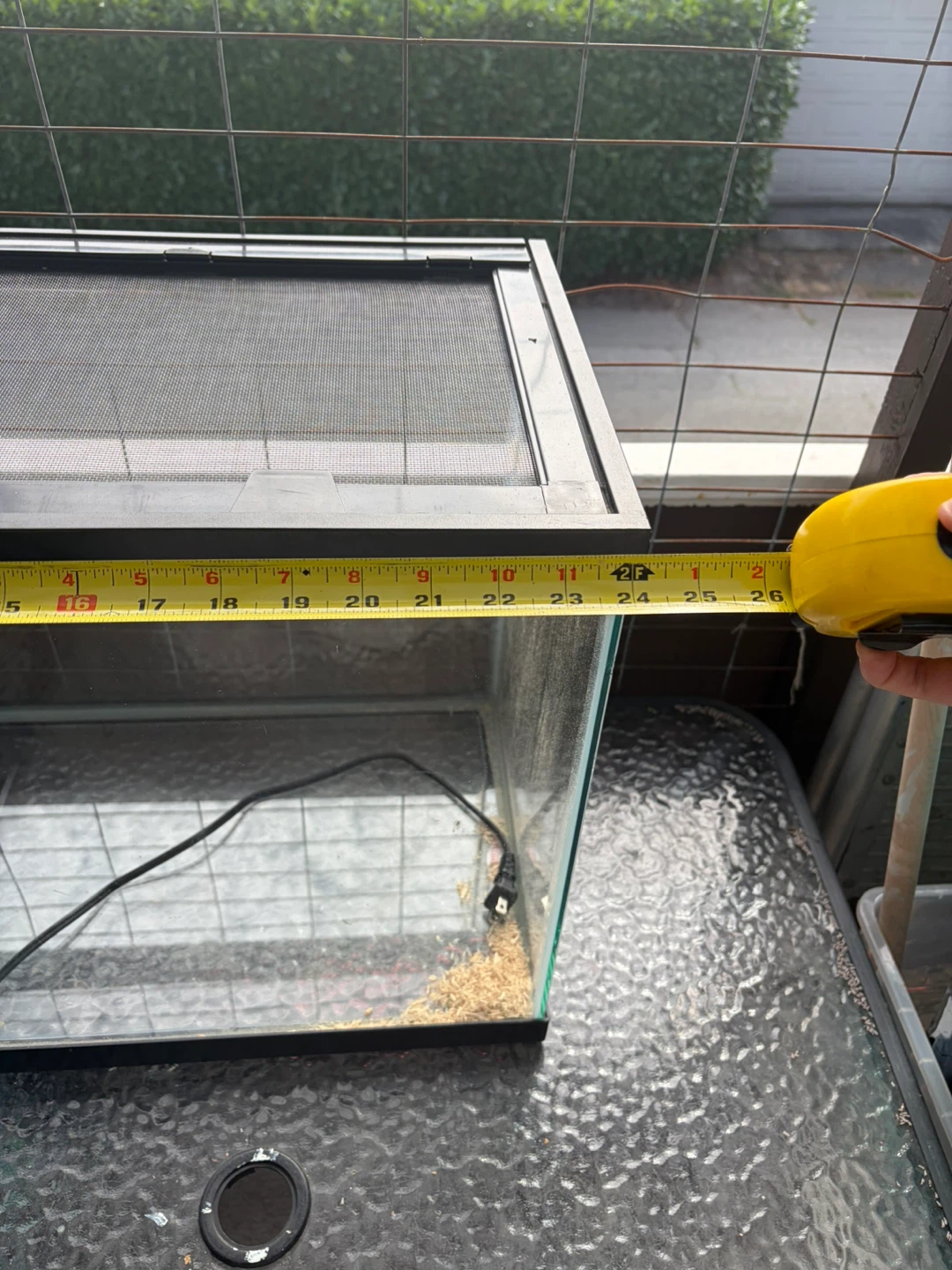 Glass Terrarium Tank - photo 3