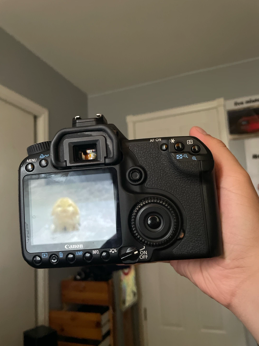 (FOR PARTS!‼️) Canon EOS 40D DSLR Camera - photo 3