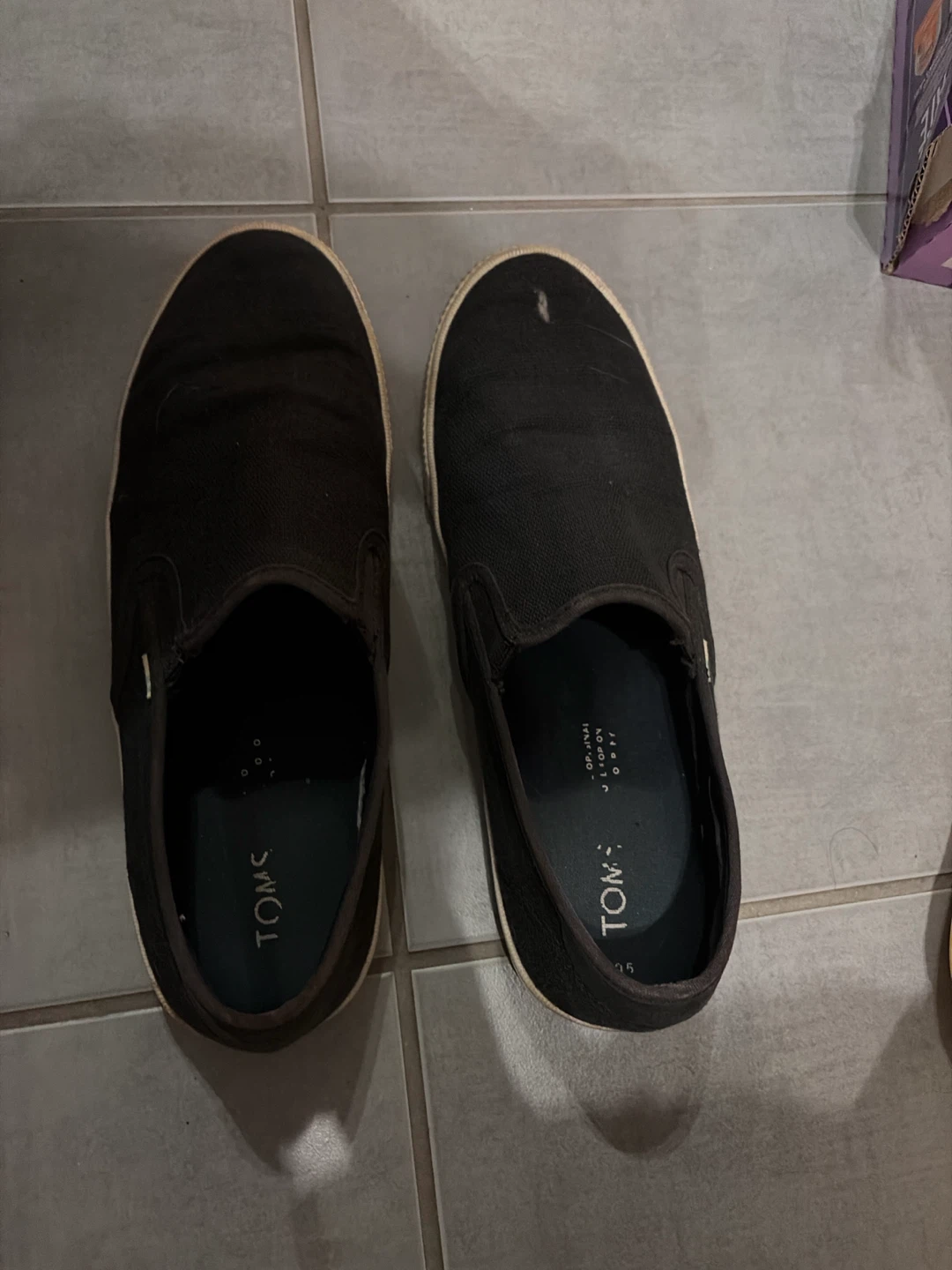 TOMS Black Canvas Slip-On Shoes