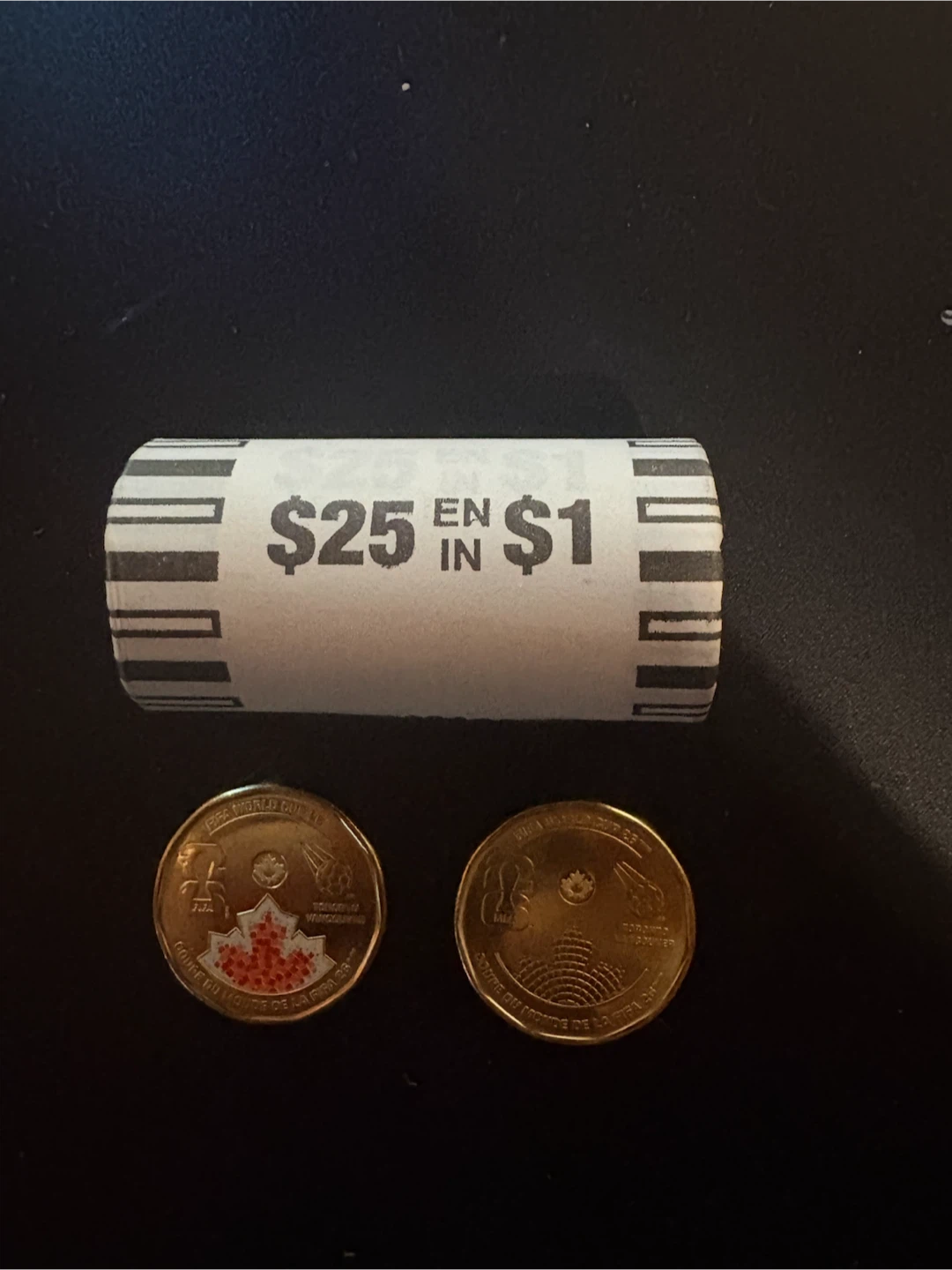 2026 World Cup Loonies - photo 2