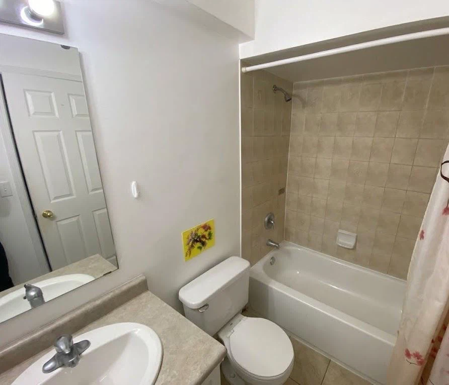 Private Room near York University - photo 2