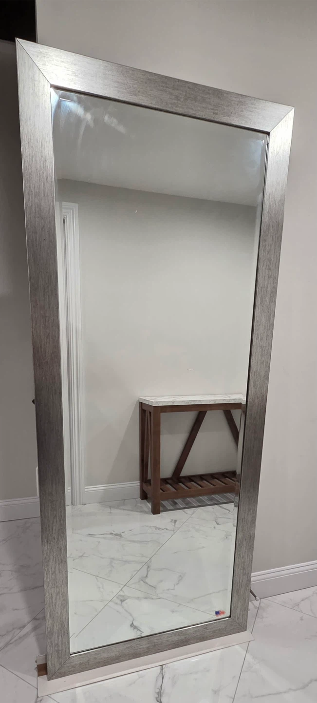 Rayne Jovie Jane Rectangular Mirror its Brushed Silver Finish - photo 3