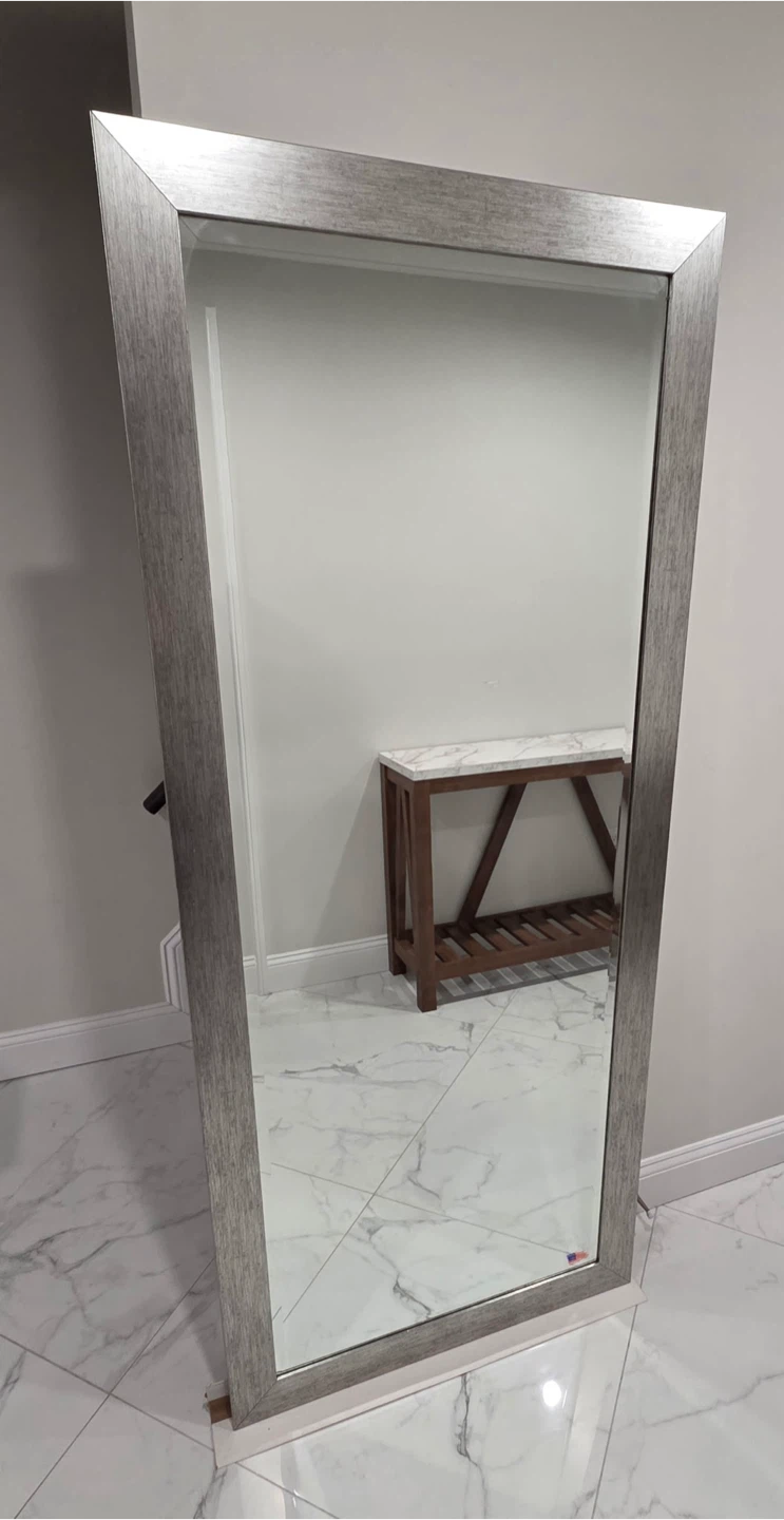 Rayne Jovie Jane Rectangular Mirror its Brushed Silver Finish - photo 4