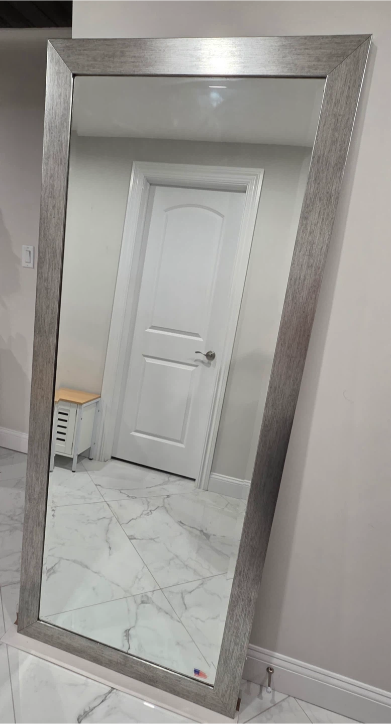 Rayne Jovie Jane Rectangular Mirror its Brushed Silver Finish - photo 5