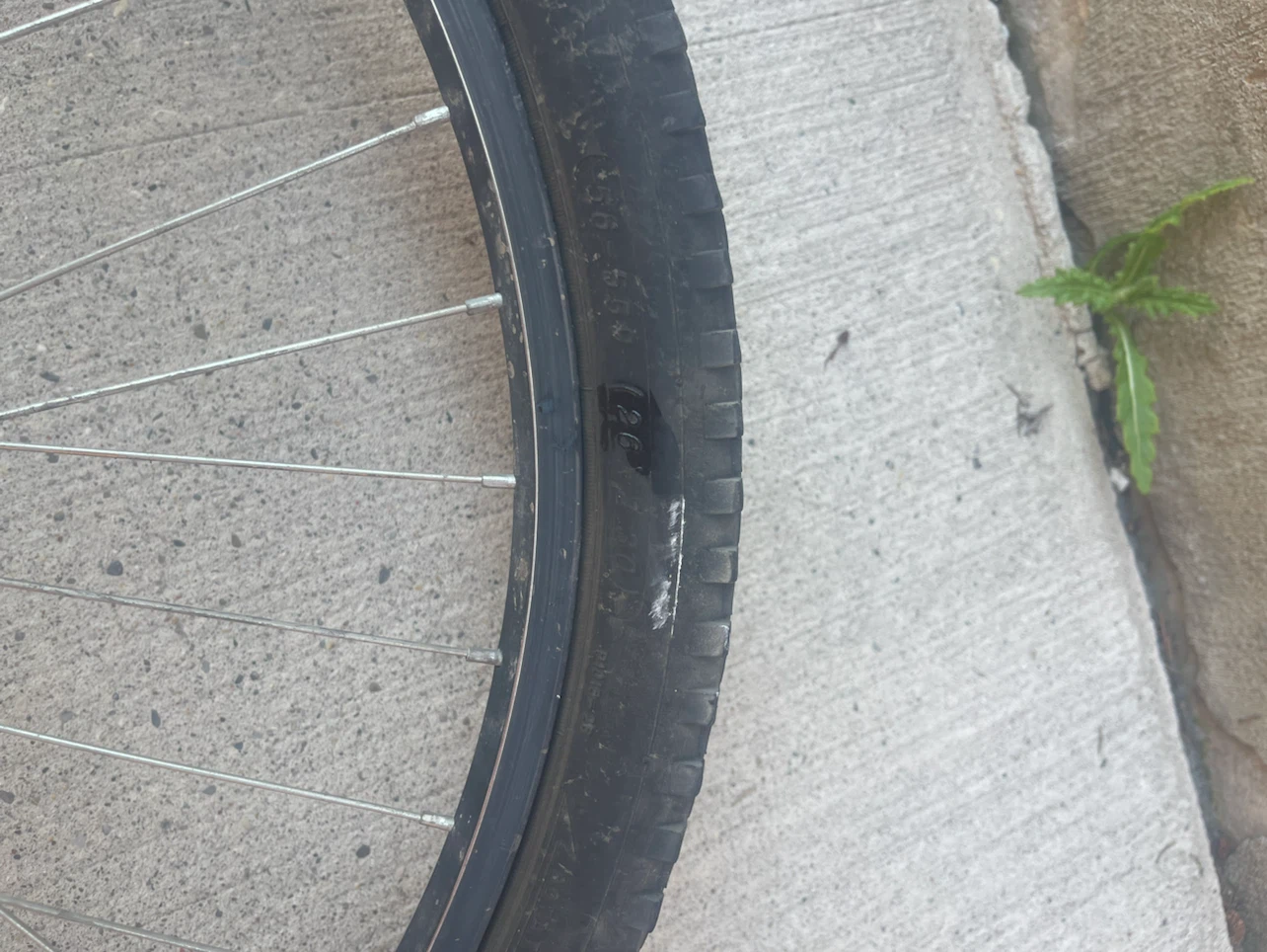X-TRAWHEEL Bicycle Wheel with Cassette - photo 2