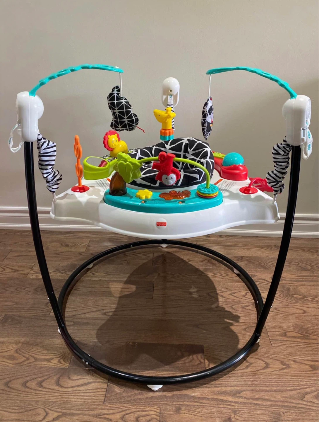 Fisher-Price Jumperoo