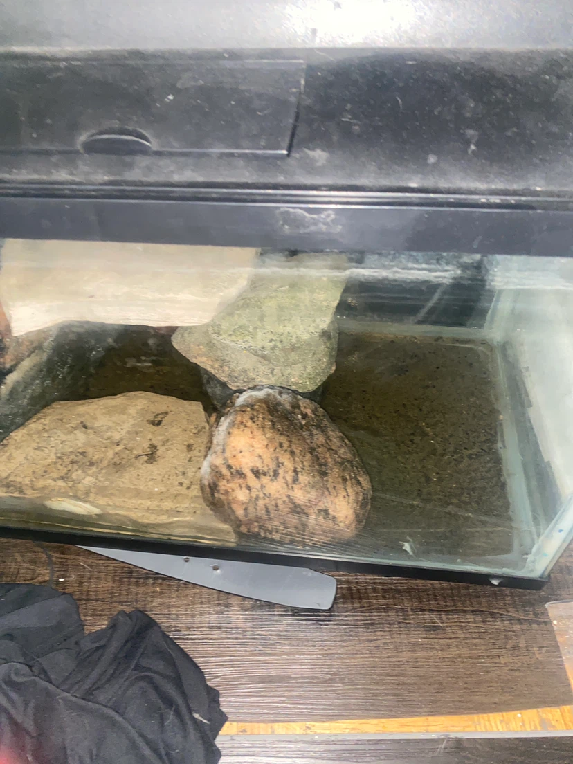 Aquarium Tank with Rocks