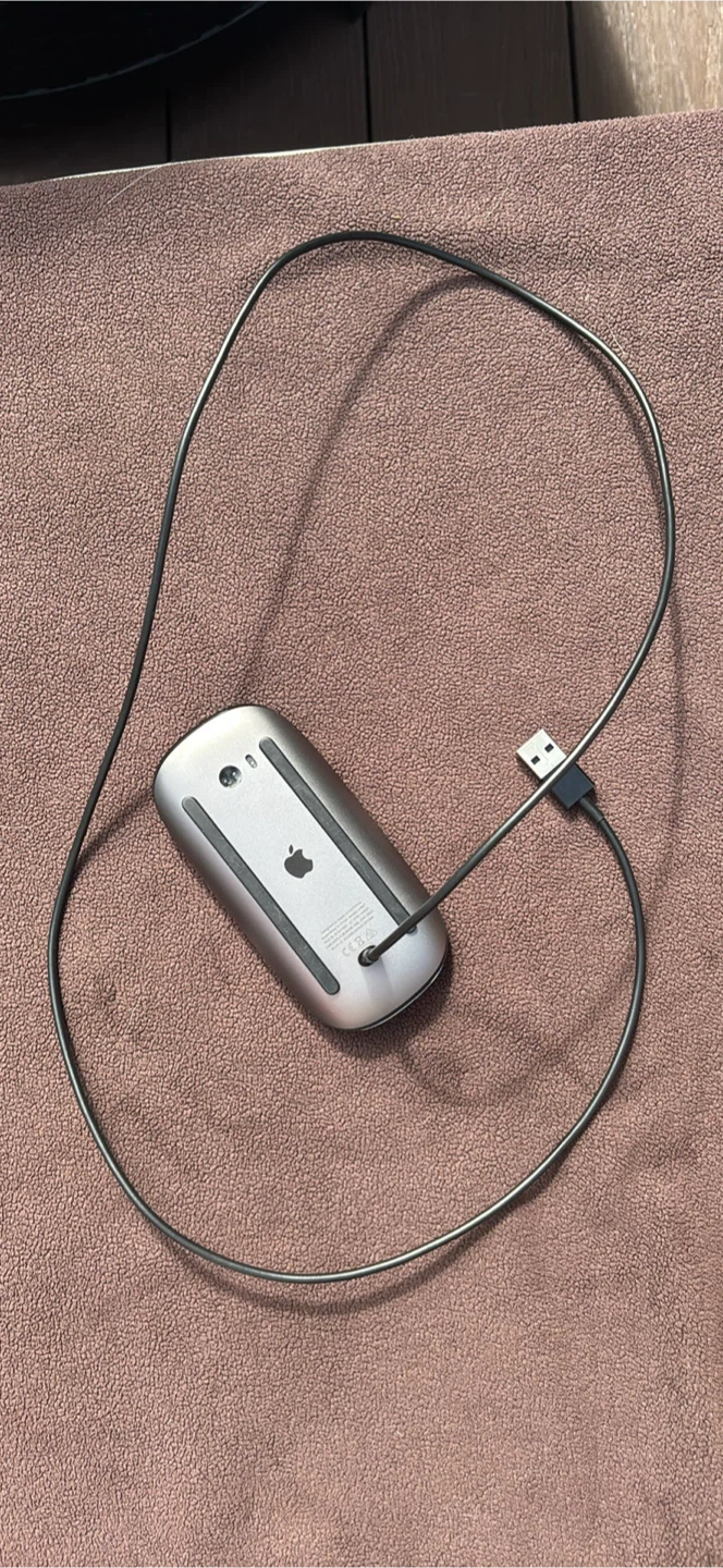 Apple Magic Mouse - photo 3