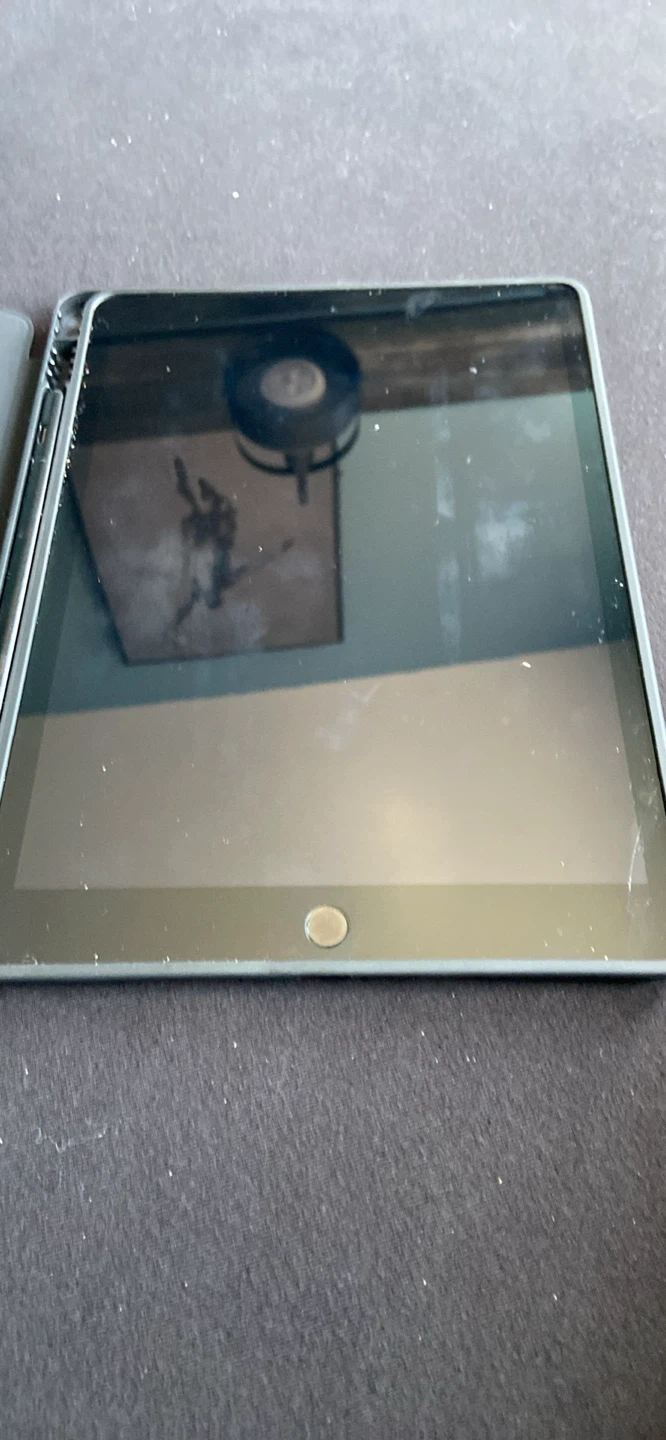 Apple iPad with Stylus