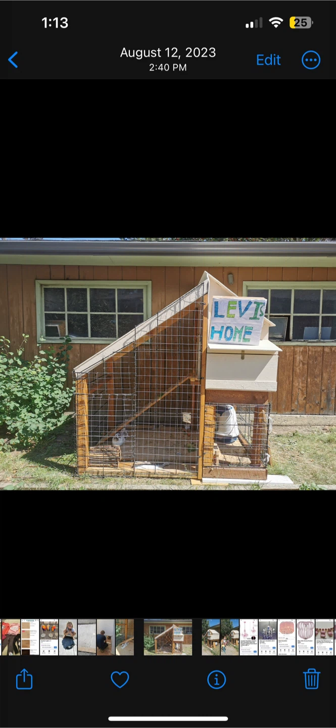 Chicken Coop and Rabbit Pen with Run
