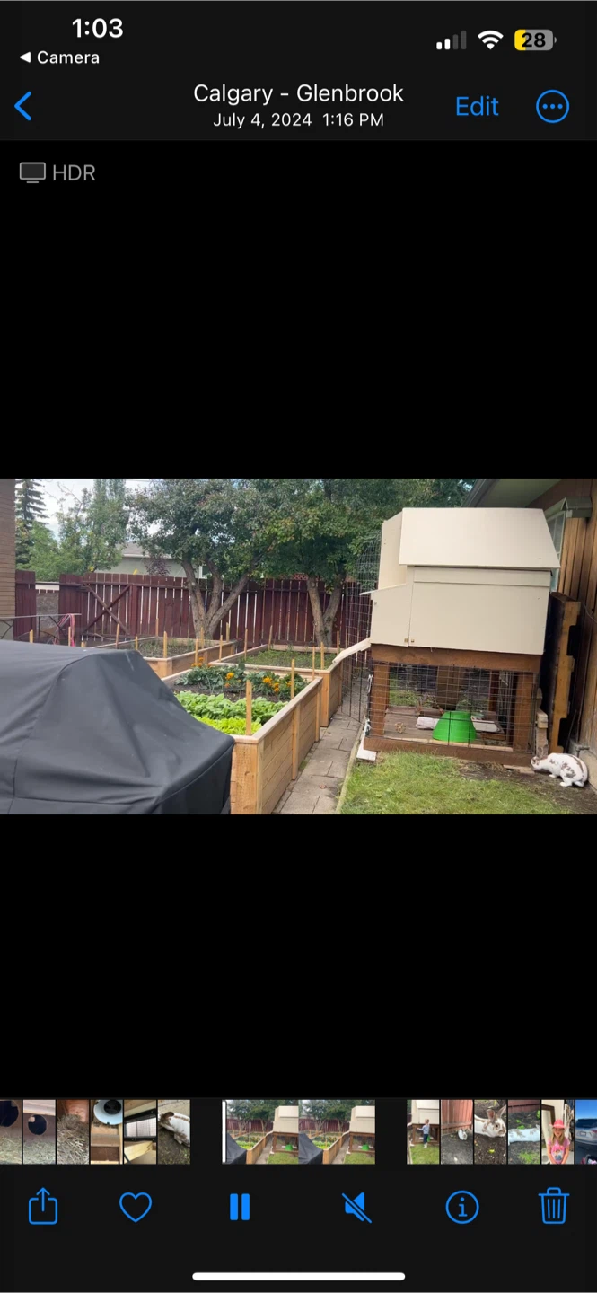 Chicken Coop and Rabbit Pen with Run - photo 4