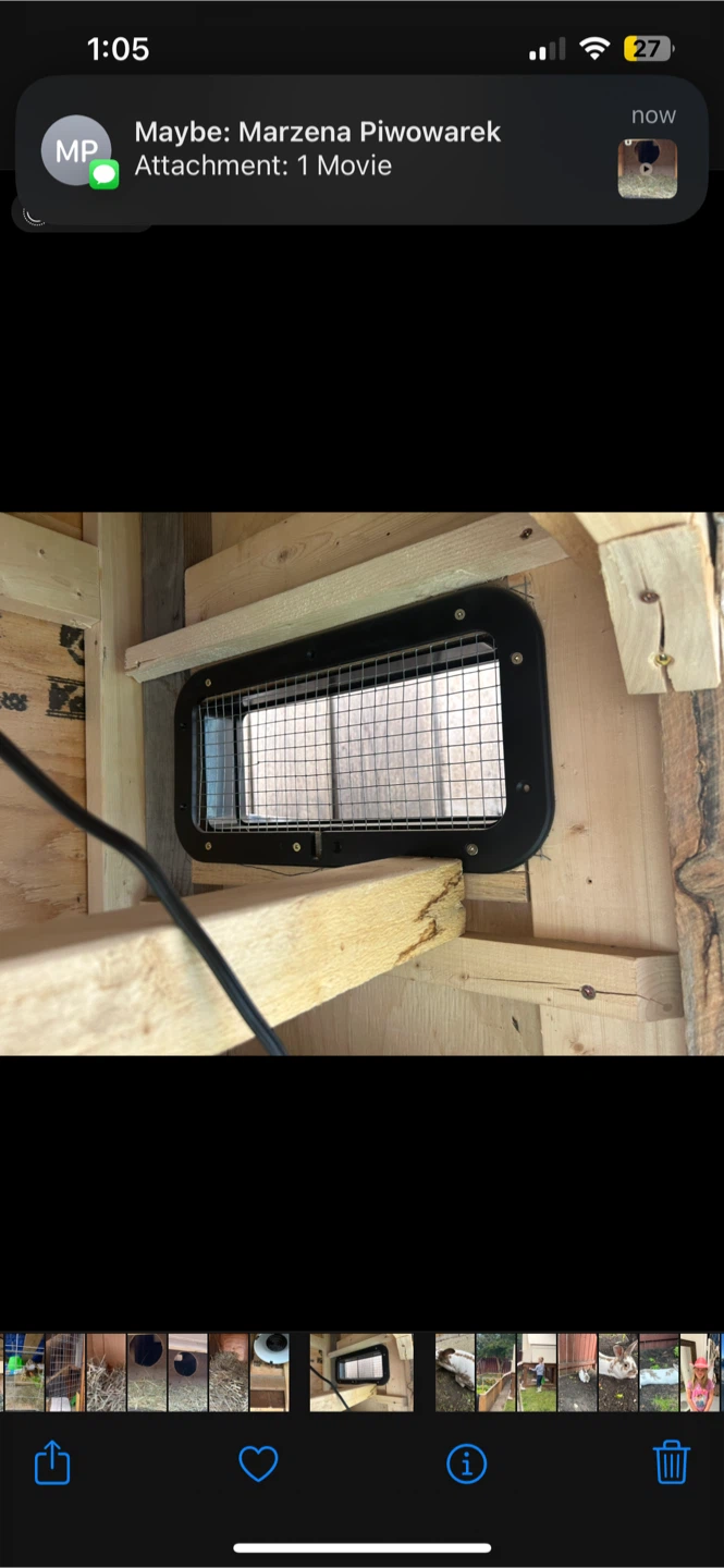 Chicken Coop and Rabbit Pen with Run - photo 5