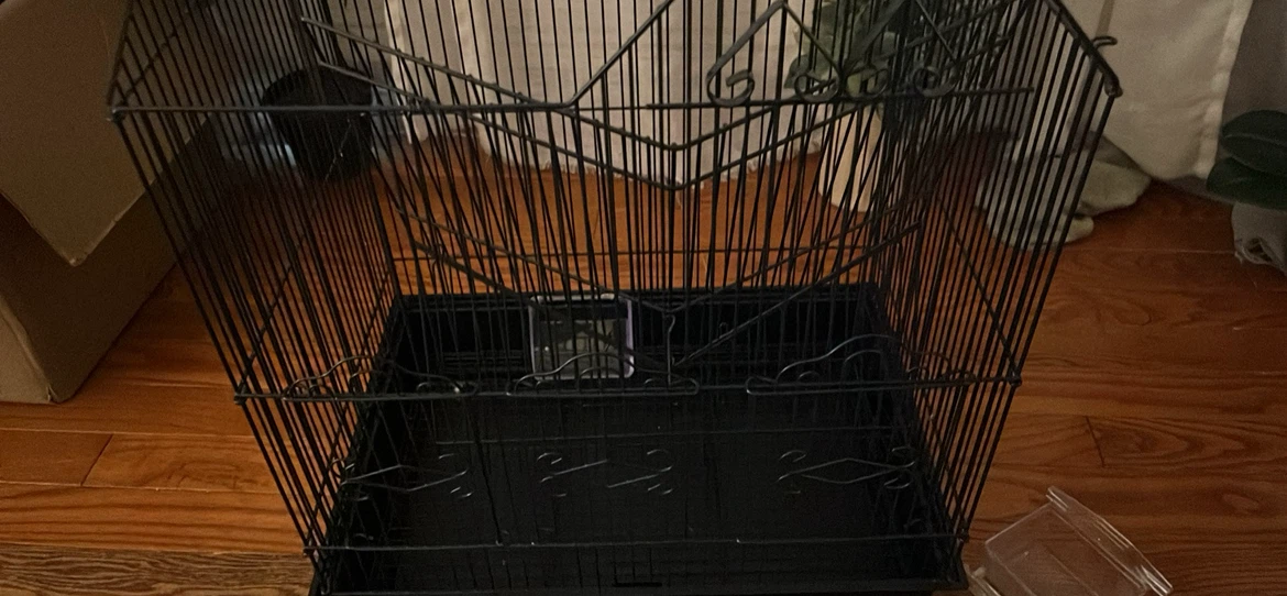 Black Metal Bird Cage