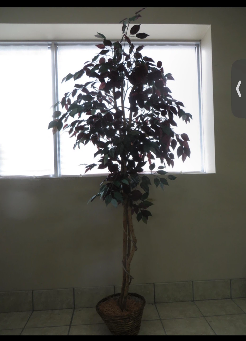 Artificial Plant
