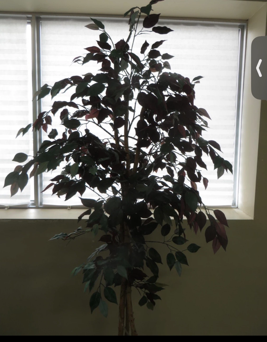 Artificial Plant - photo 2