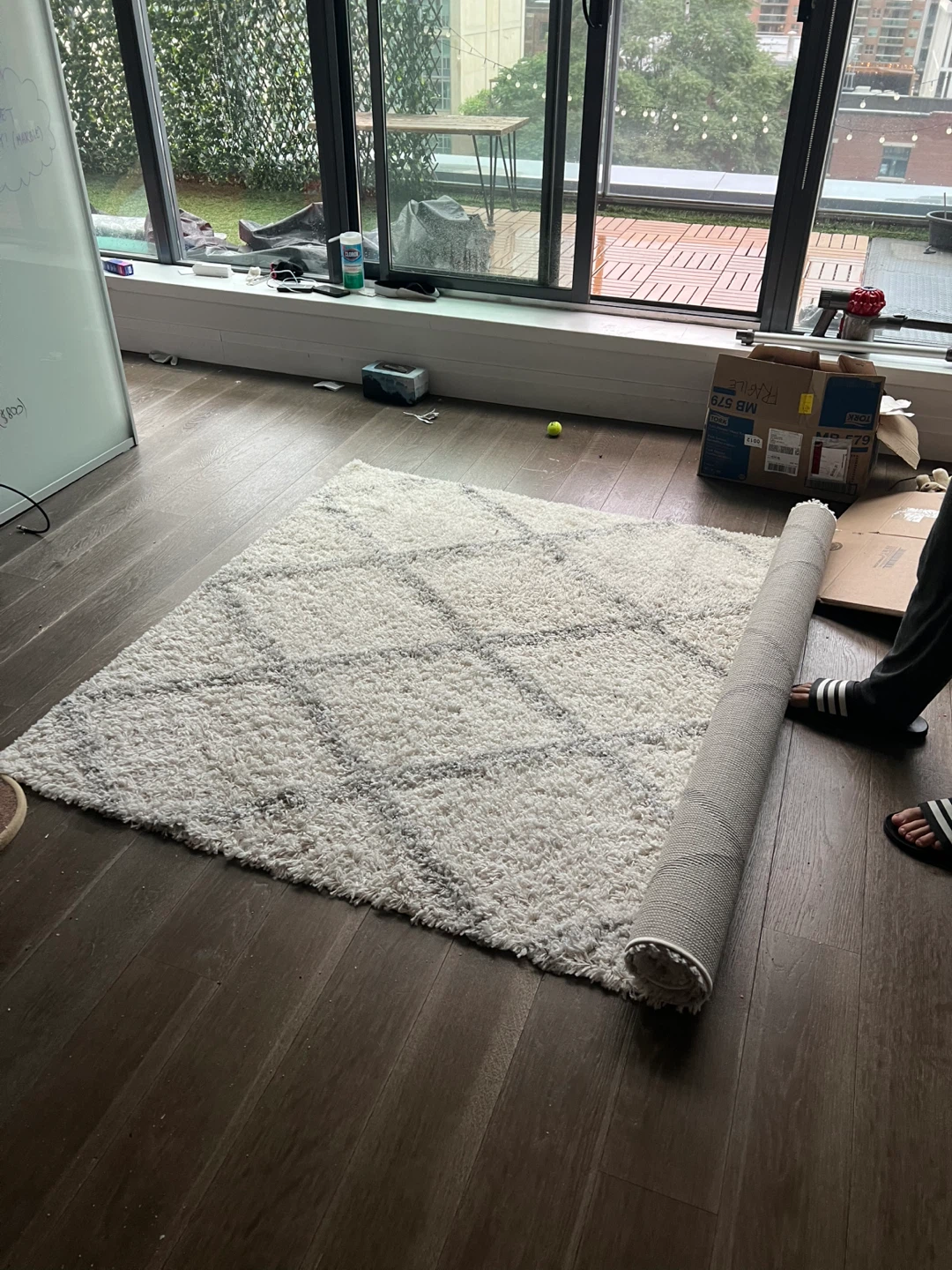 Darryll Trellis Shag Area Rug