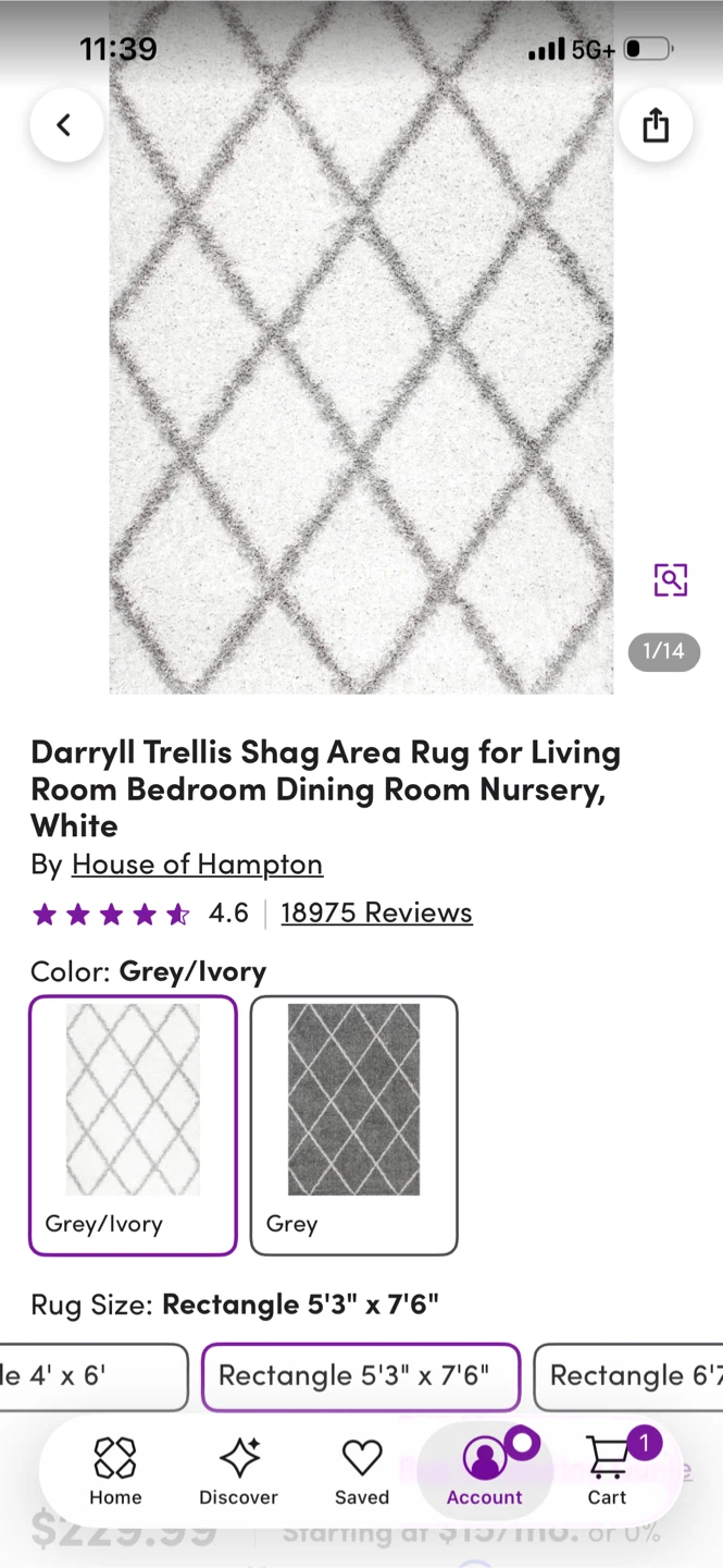 Darryll Trellis Shag Area Rug - photo 2