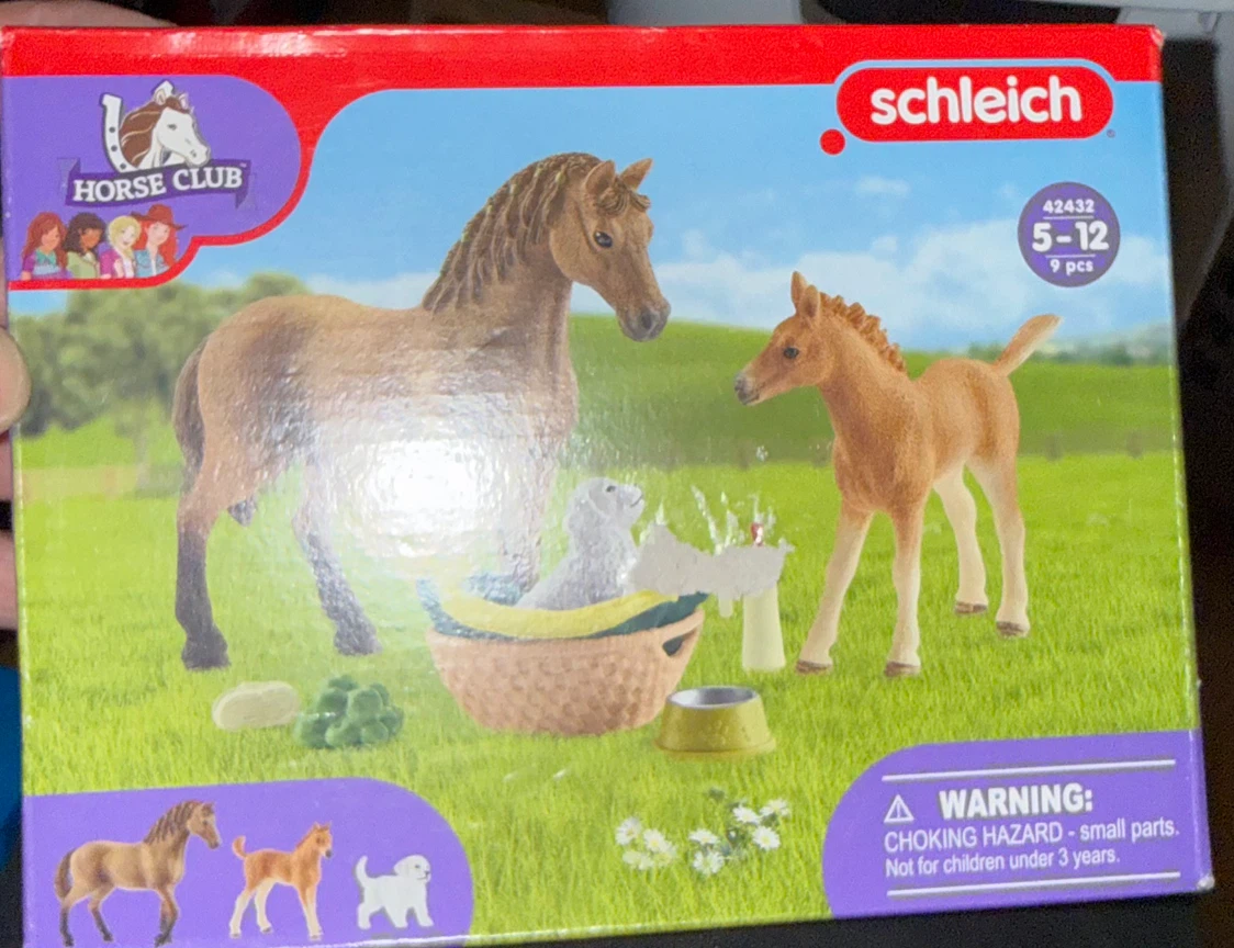 Schleich Horse Club Stable Cleaning Set 5-12 Years